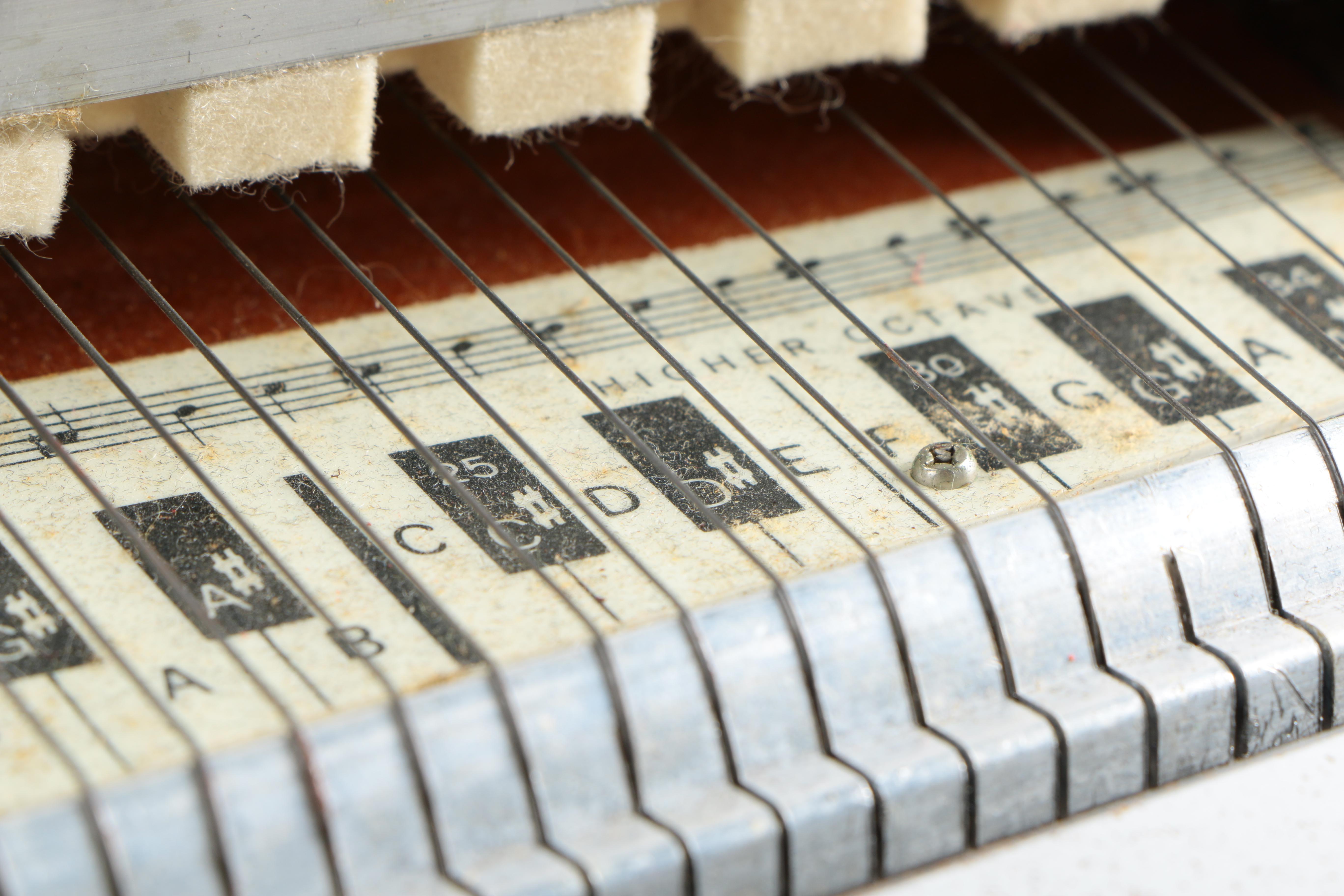 Oscar Schmidt Autoharp and Case
