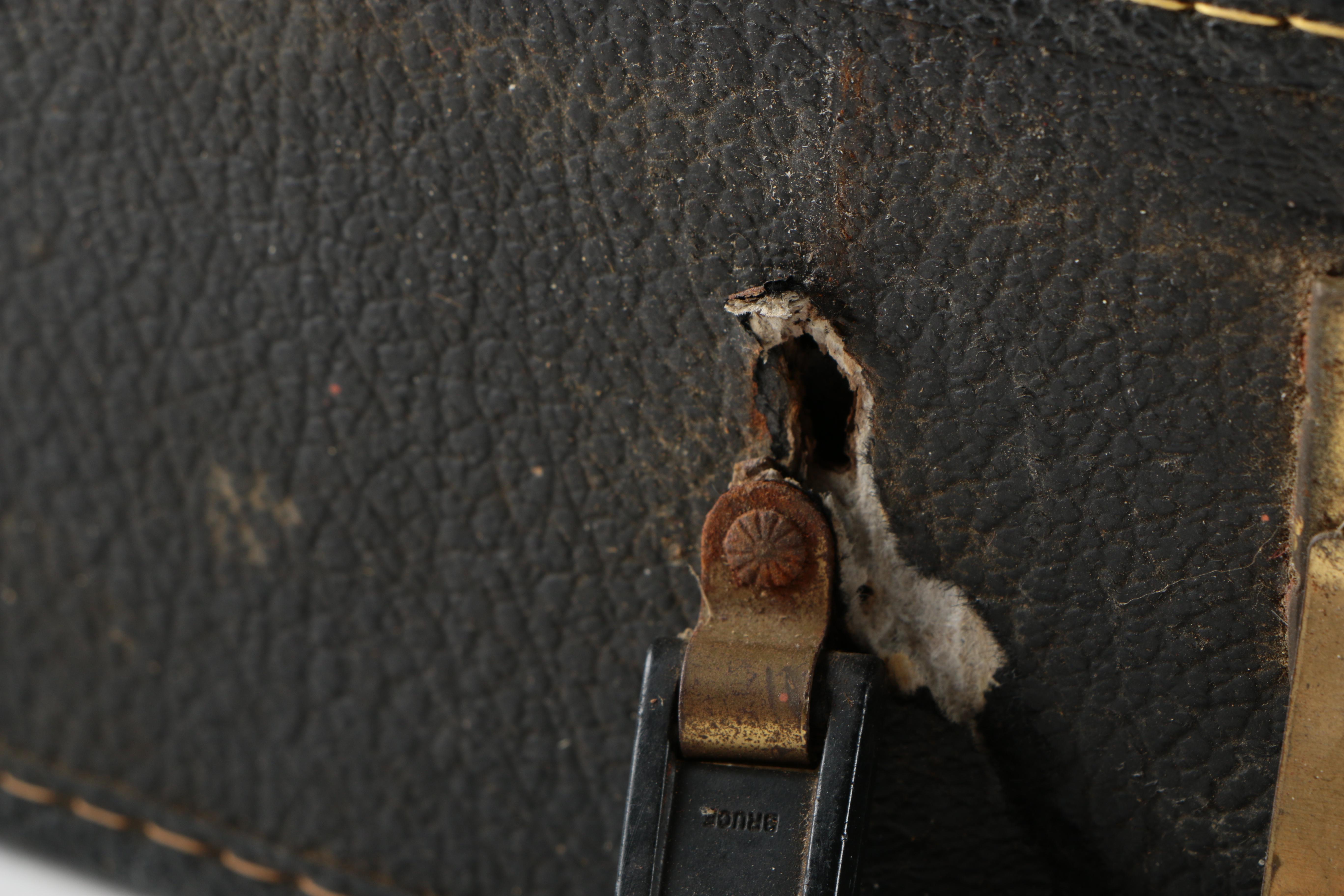 Oscar Schmidt Autoharp and Case