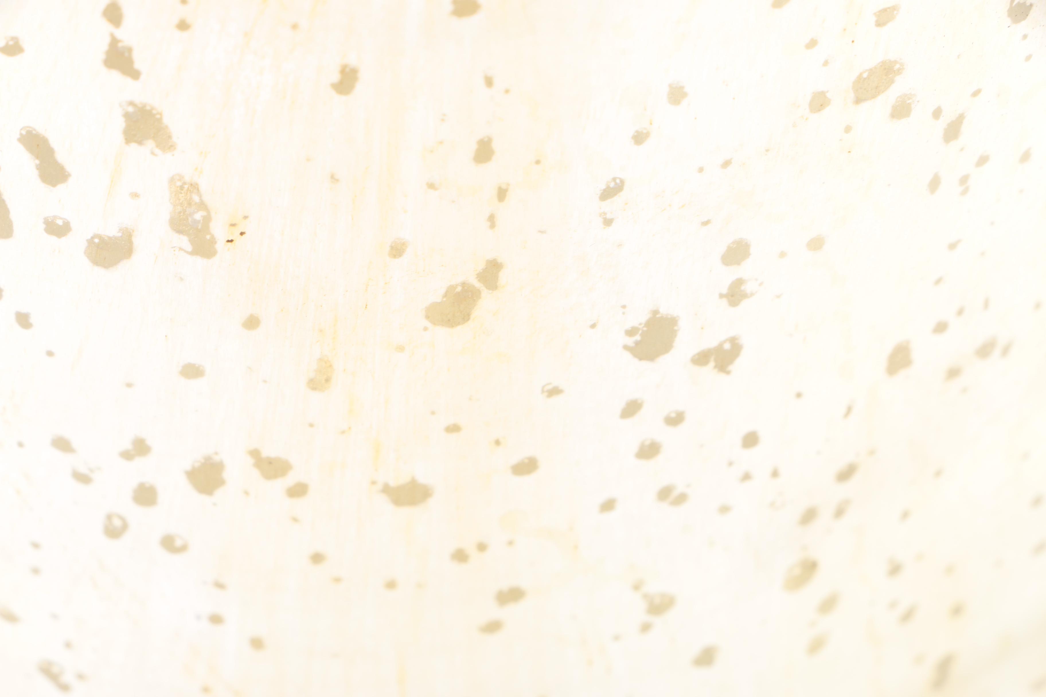 Silver Tone Glass Vase