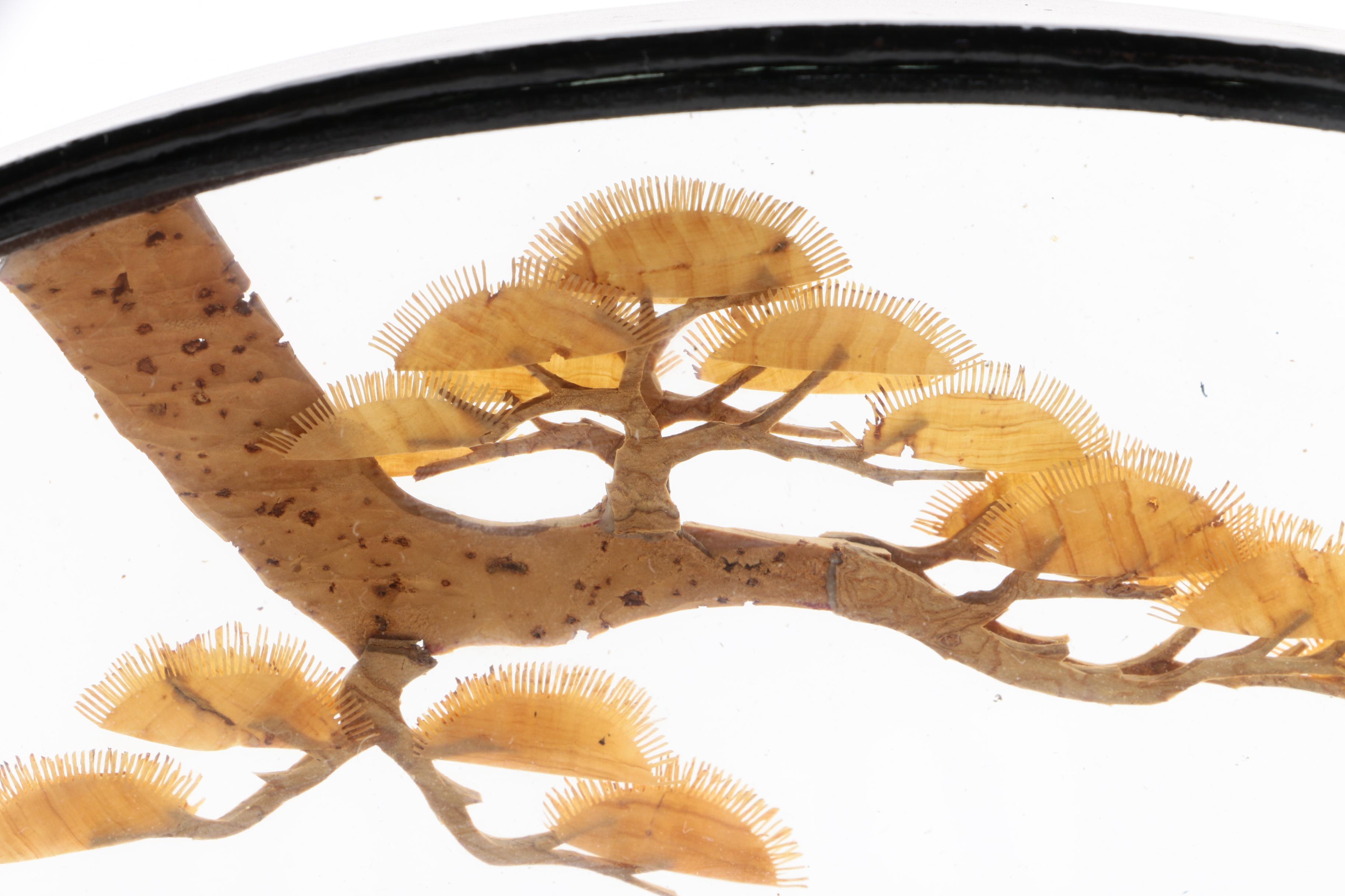 Chinese Cork Diorama