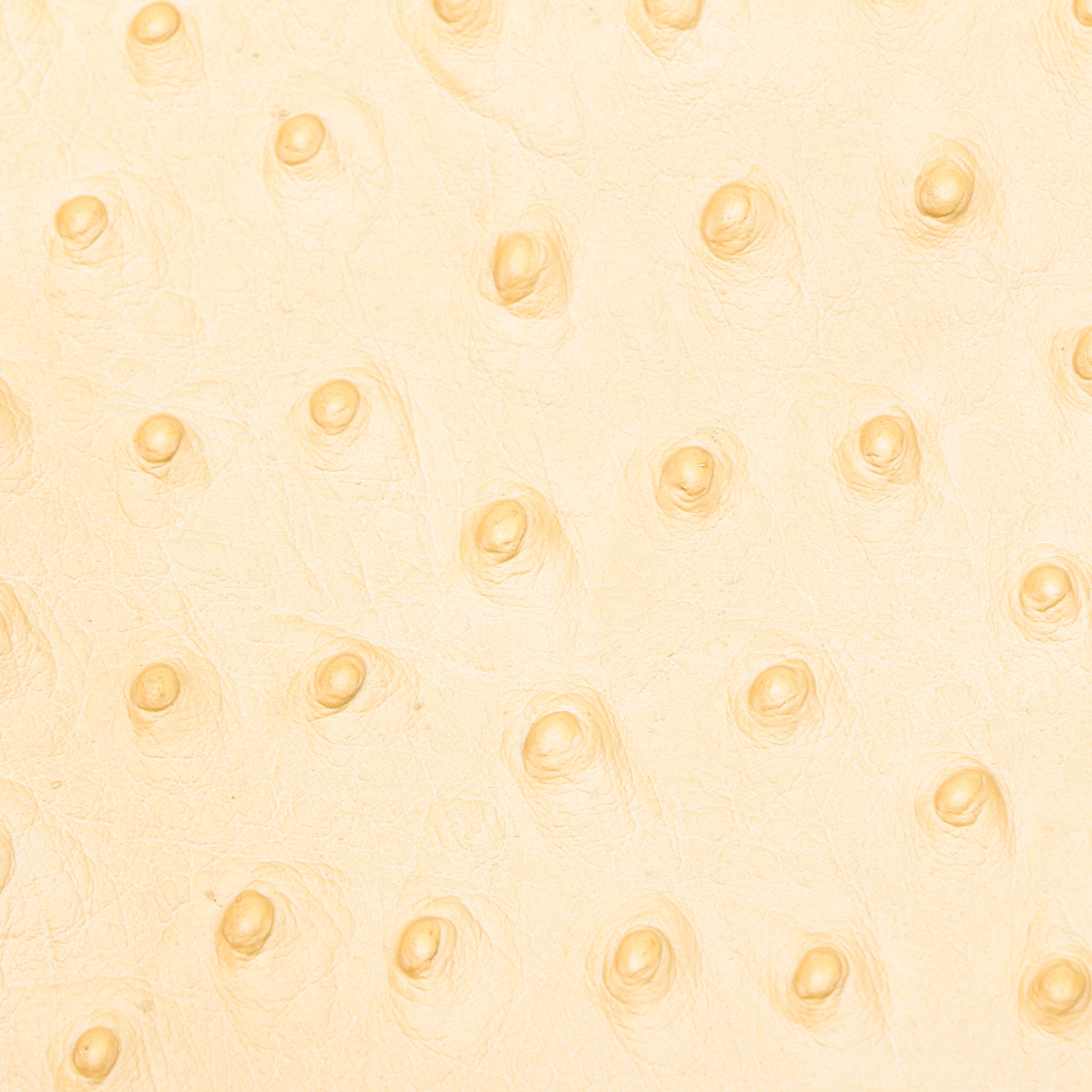 Ostrich Leather Shoulder Bag