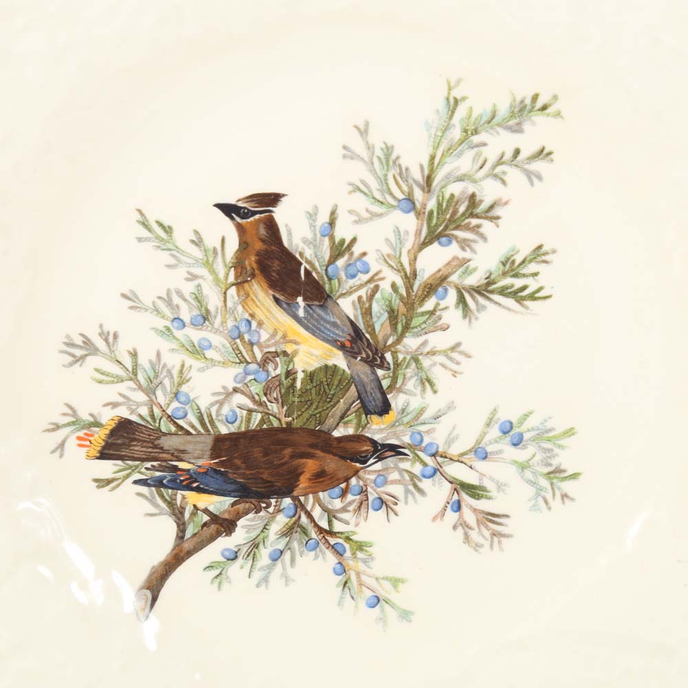 Alfred Meakin "Birds of America: Cedar Bird" Dinner Plates