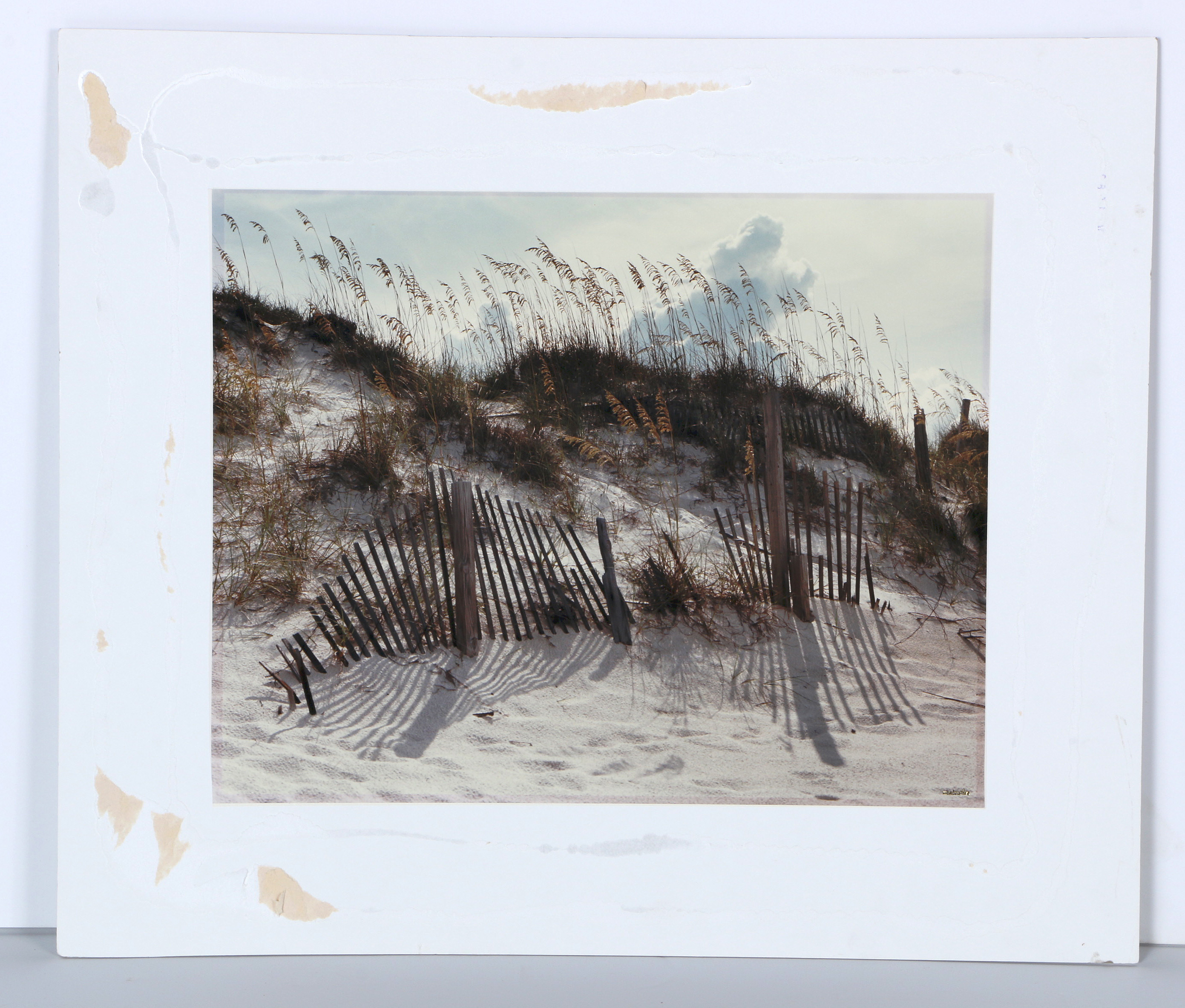 Paul Mantecalvo Color Photograph of A Moment From Florida