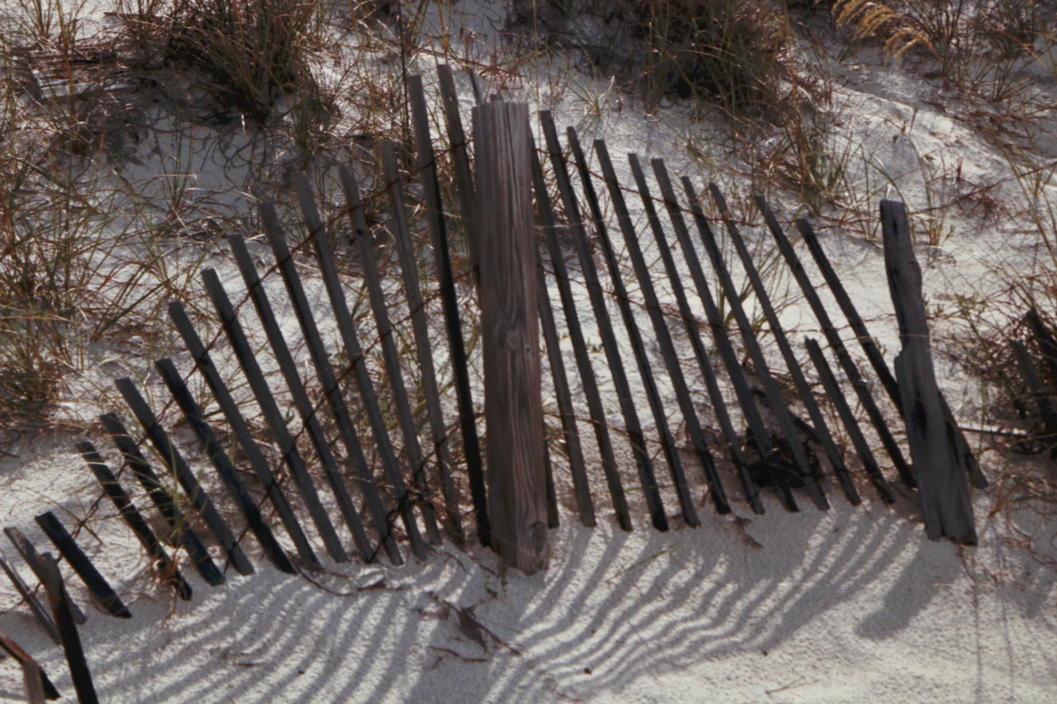 Paul Mantecalvo Color Photograph of A Moment From Florida