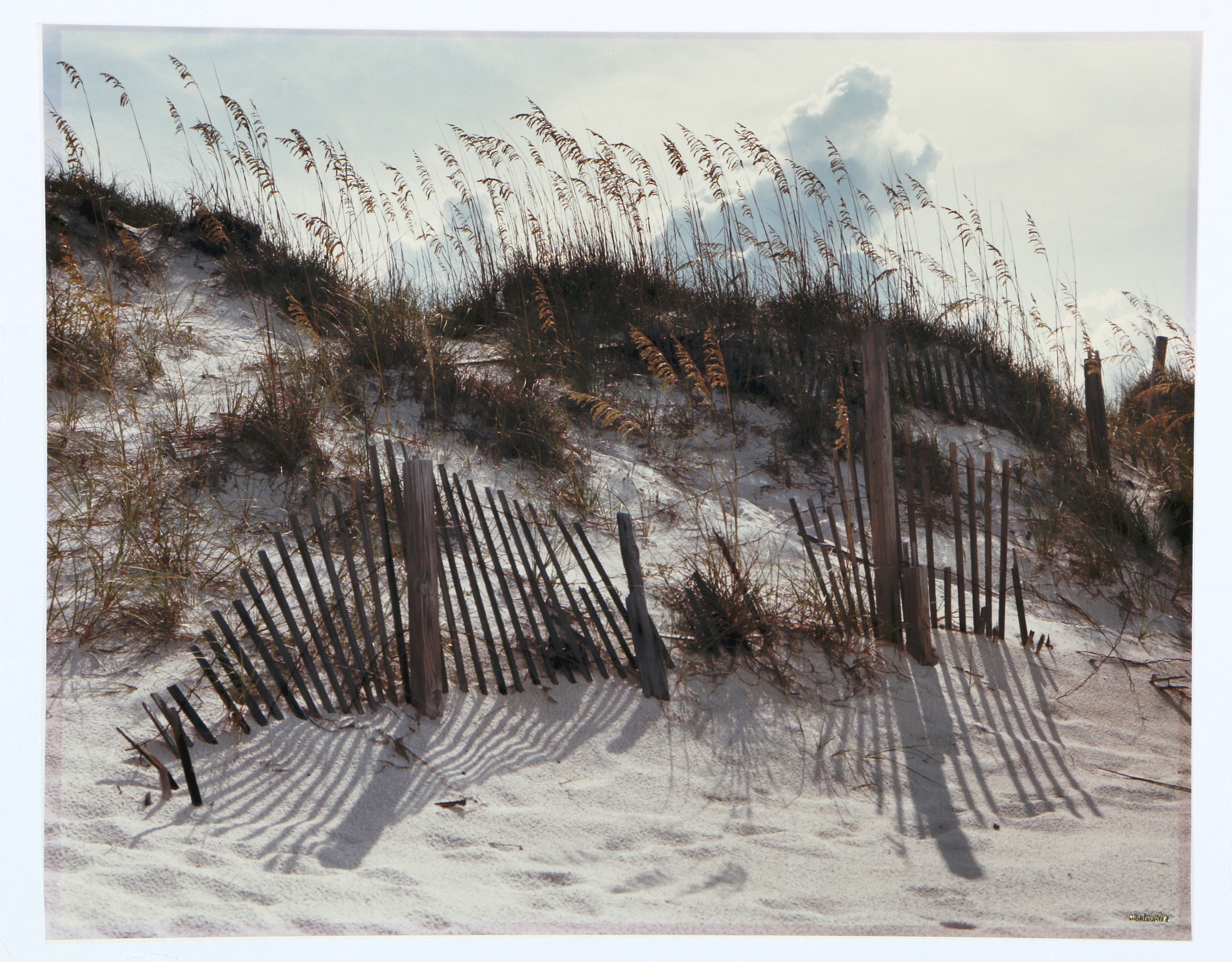 Paul Mantecalvo Color Photograph of A Moment From Florida