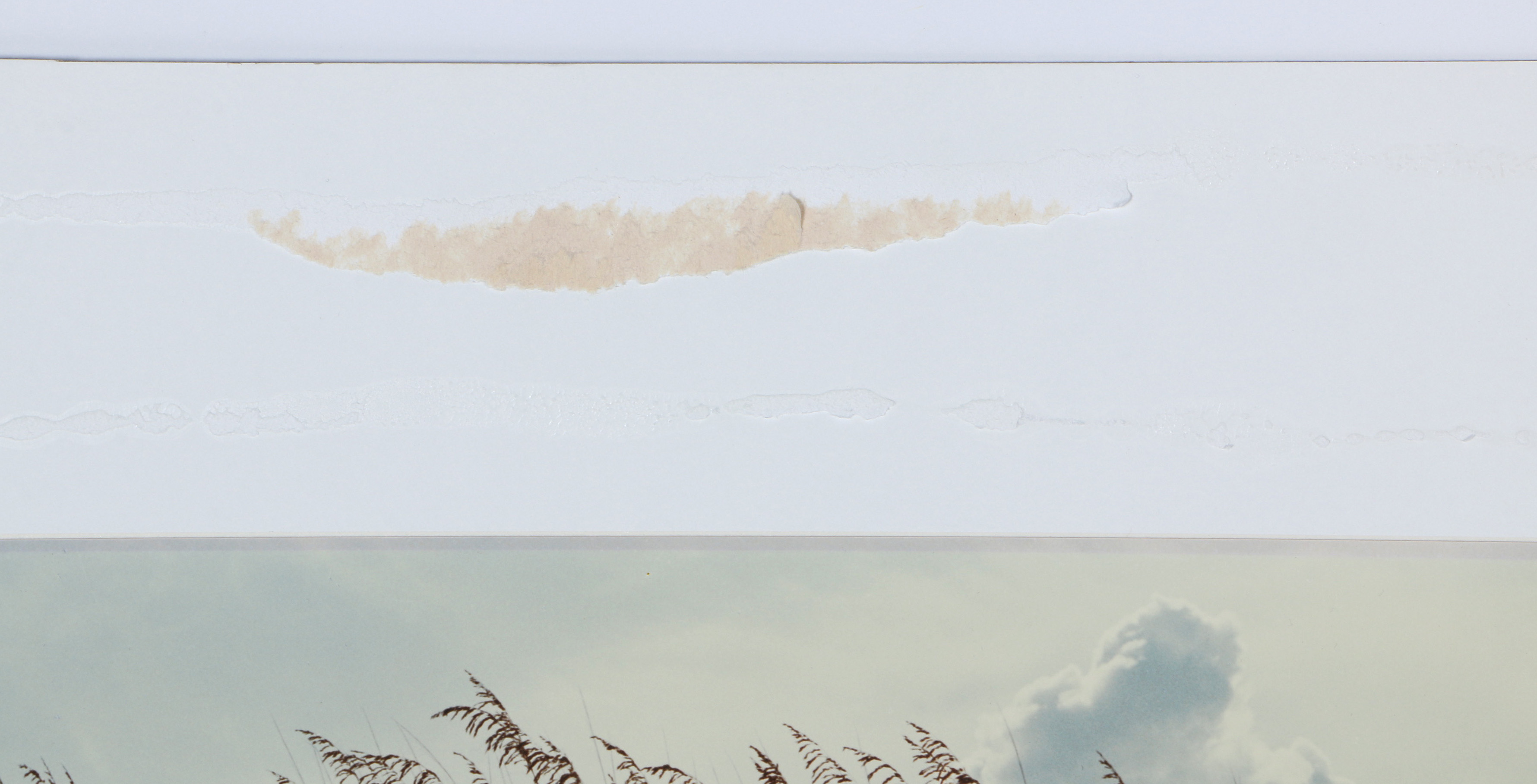 Paul Mantecalvo Color Photograph of A Moment From Florida