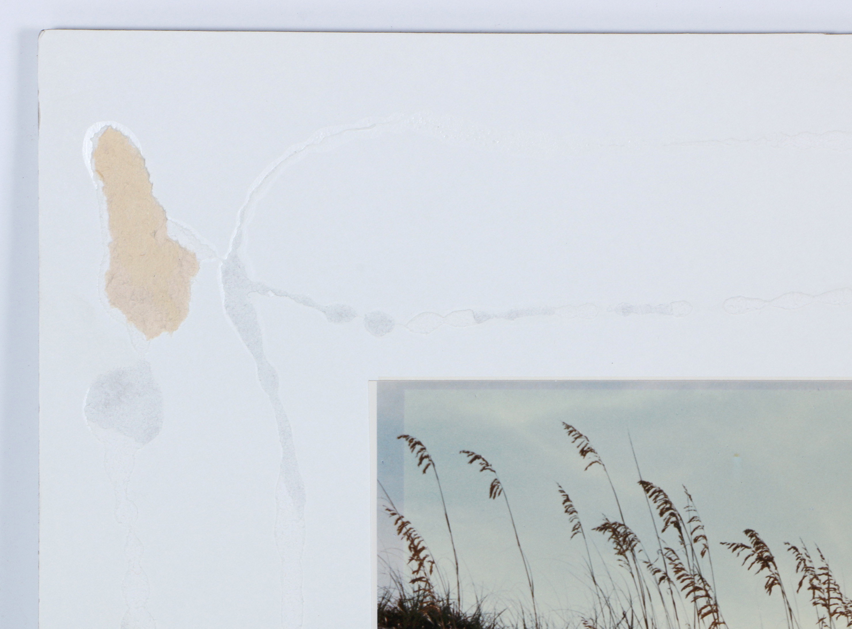 Paul Mantecalvo Color Photograph of A Moment From Florida