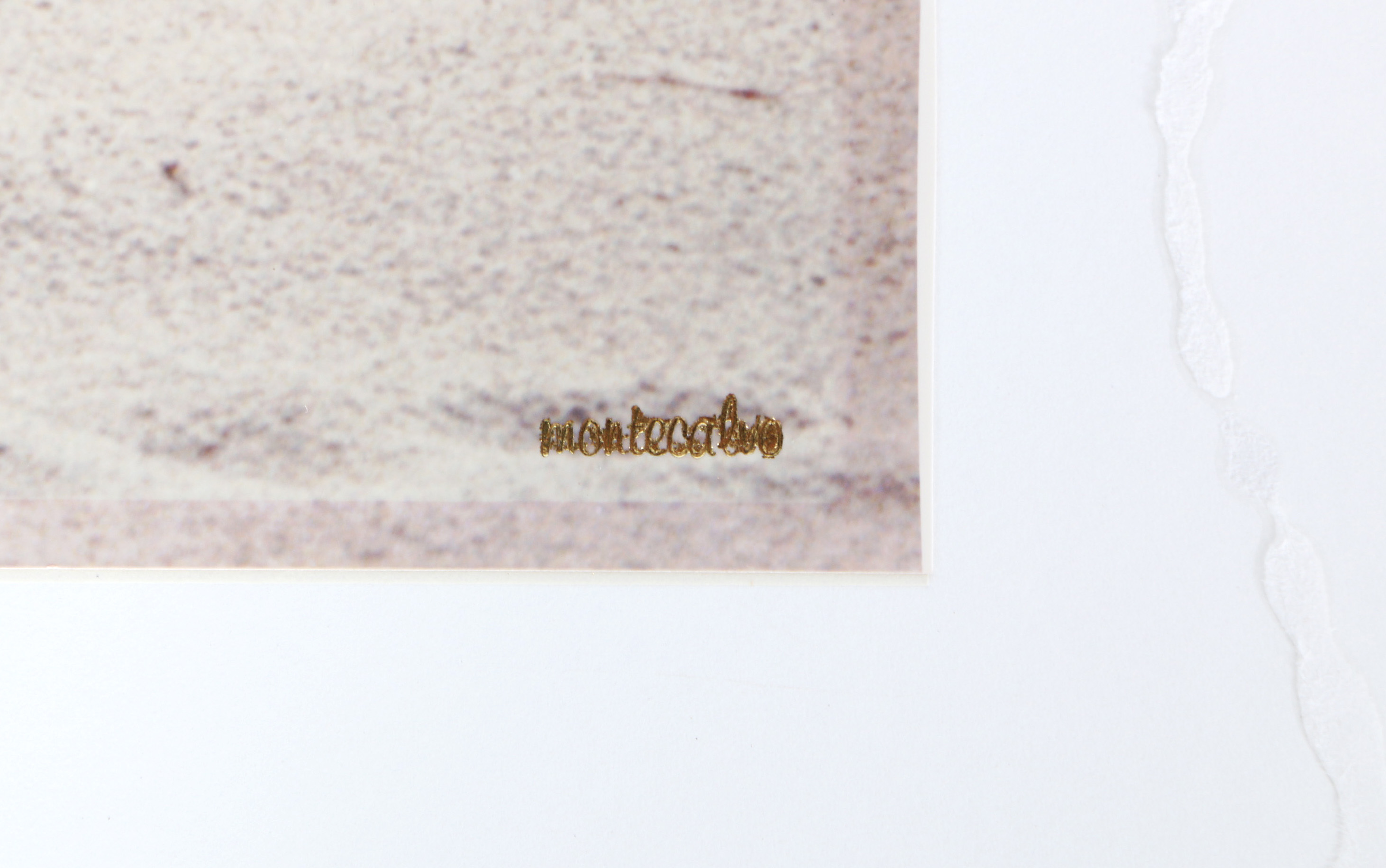 Paul Mantecalvo Color Photograph of A Moment From Florida