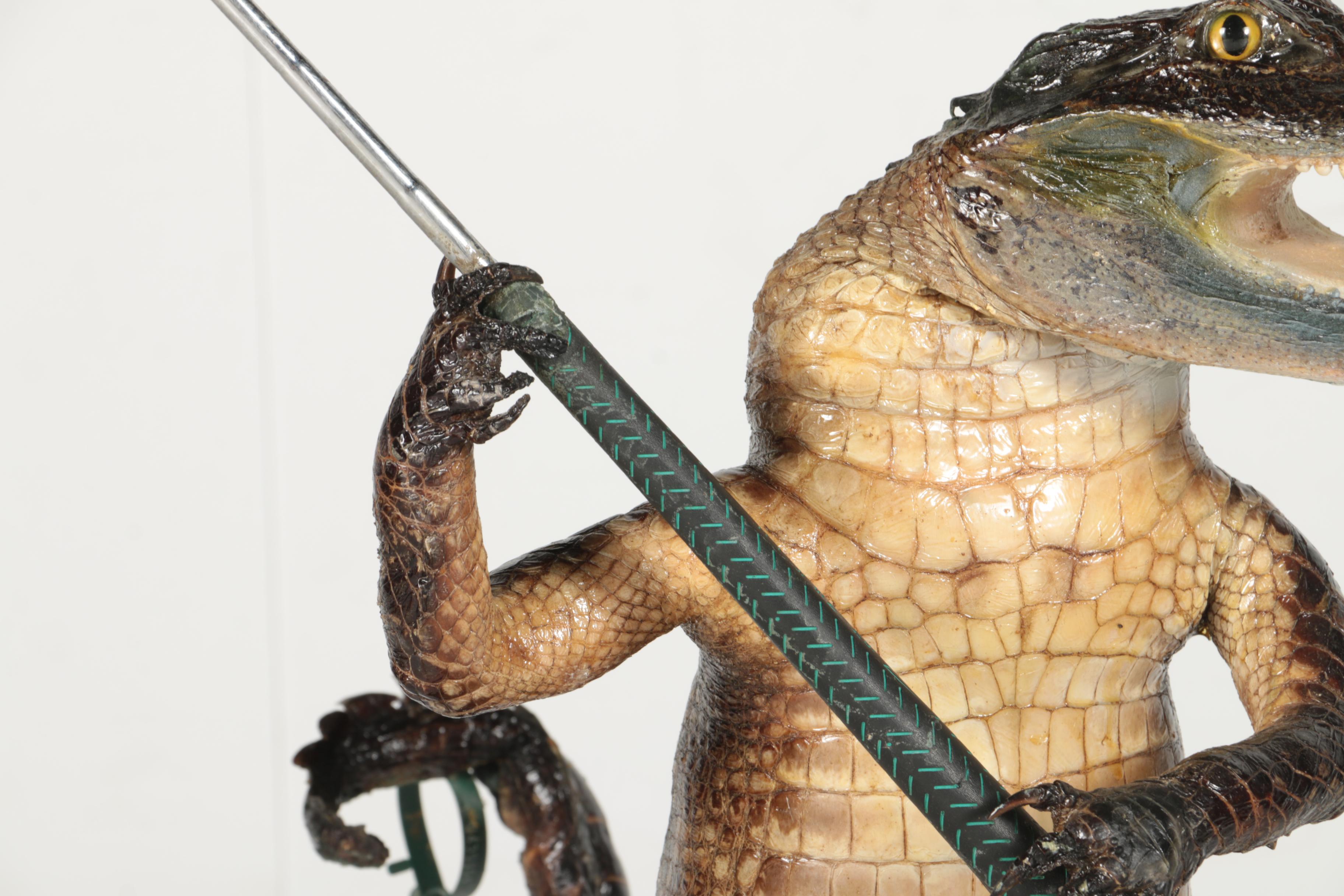 Taxidermy Alligator With Golf Club
