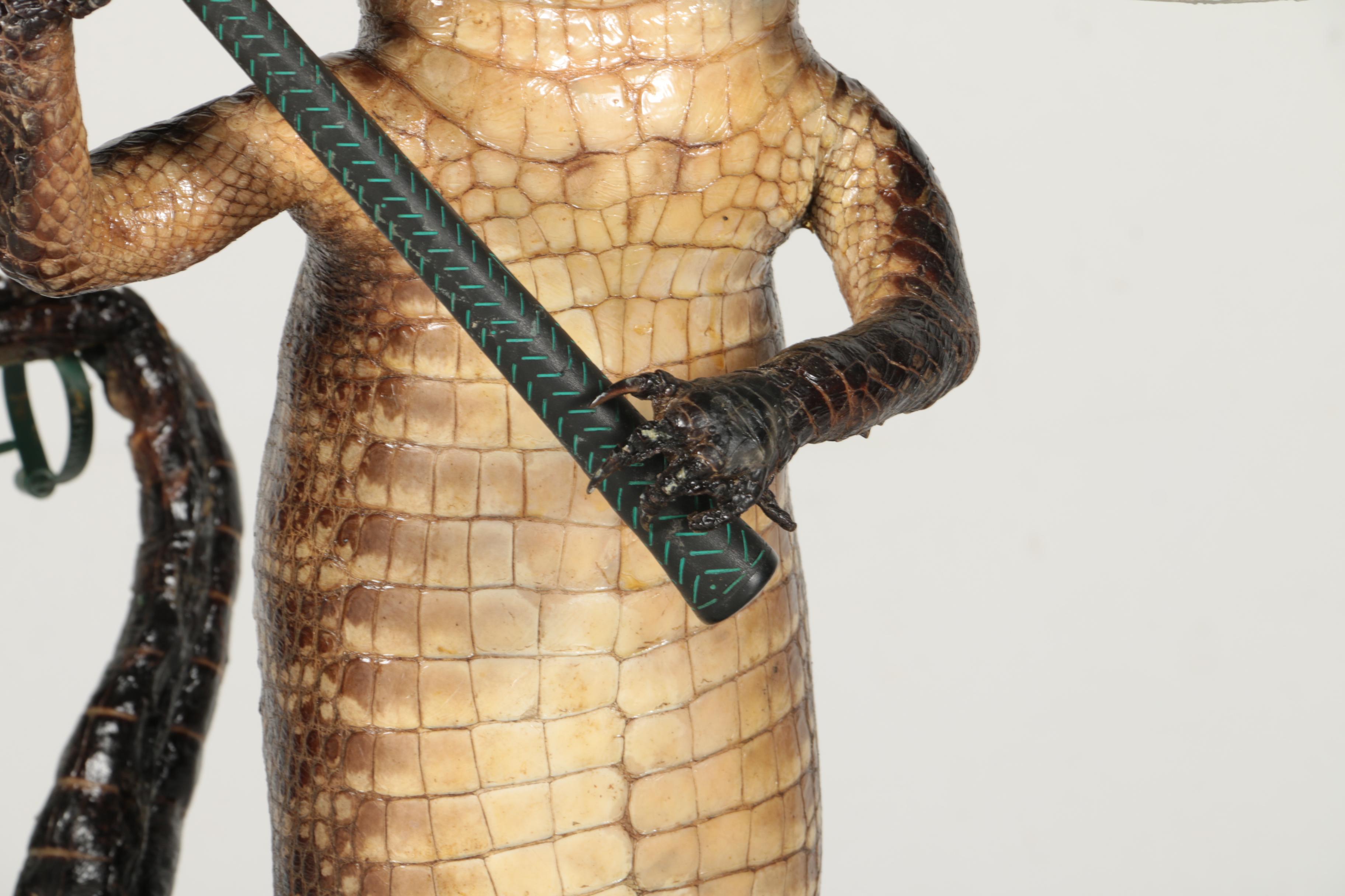 Taxidermy Alligator With Golf Club