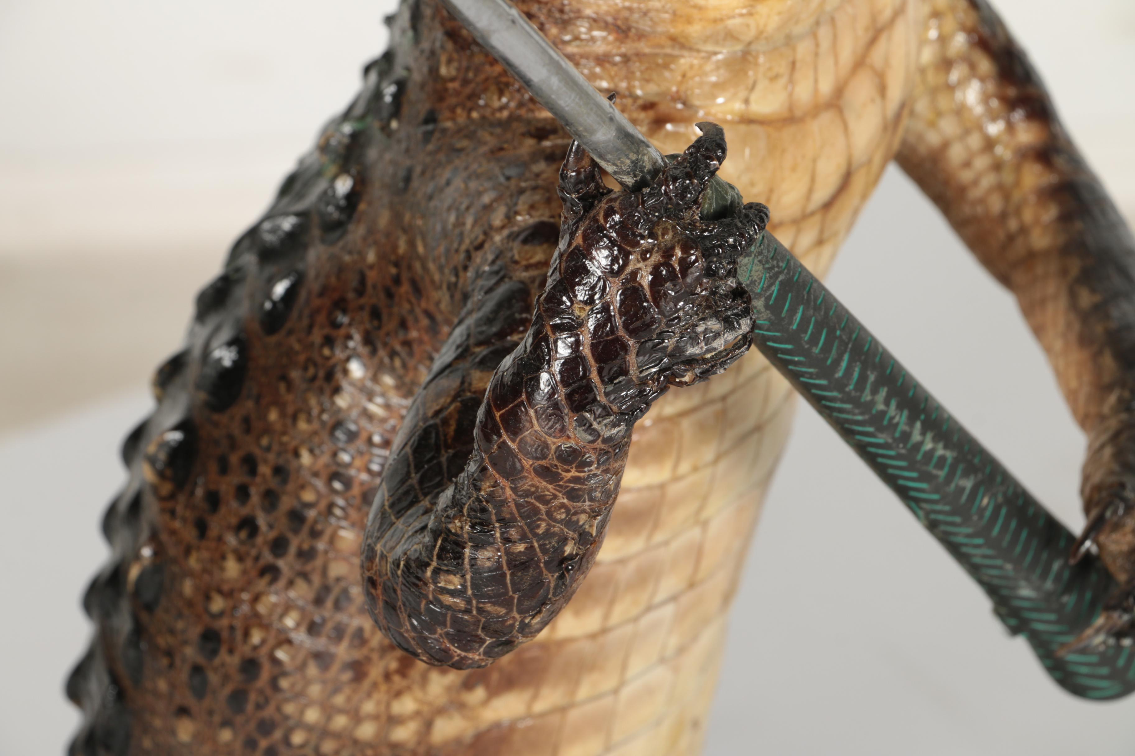 Taxidermy Alligator With Golf Club