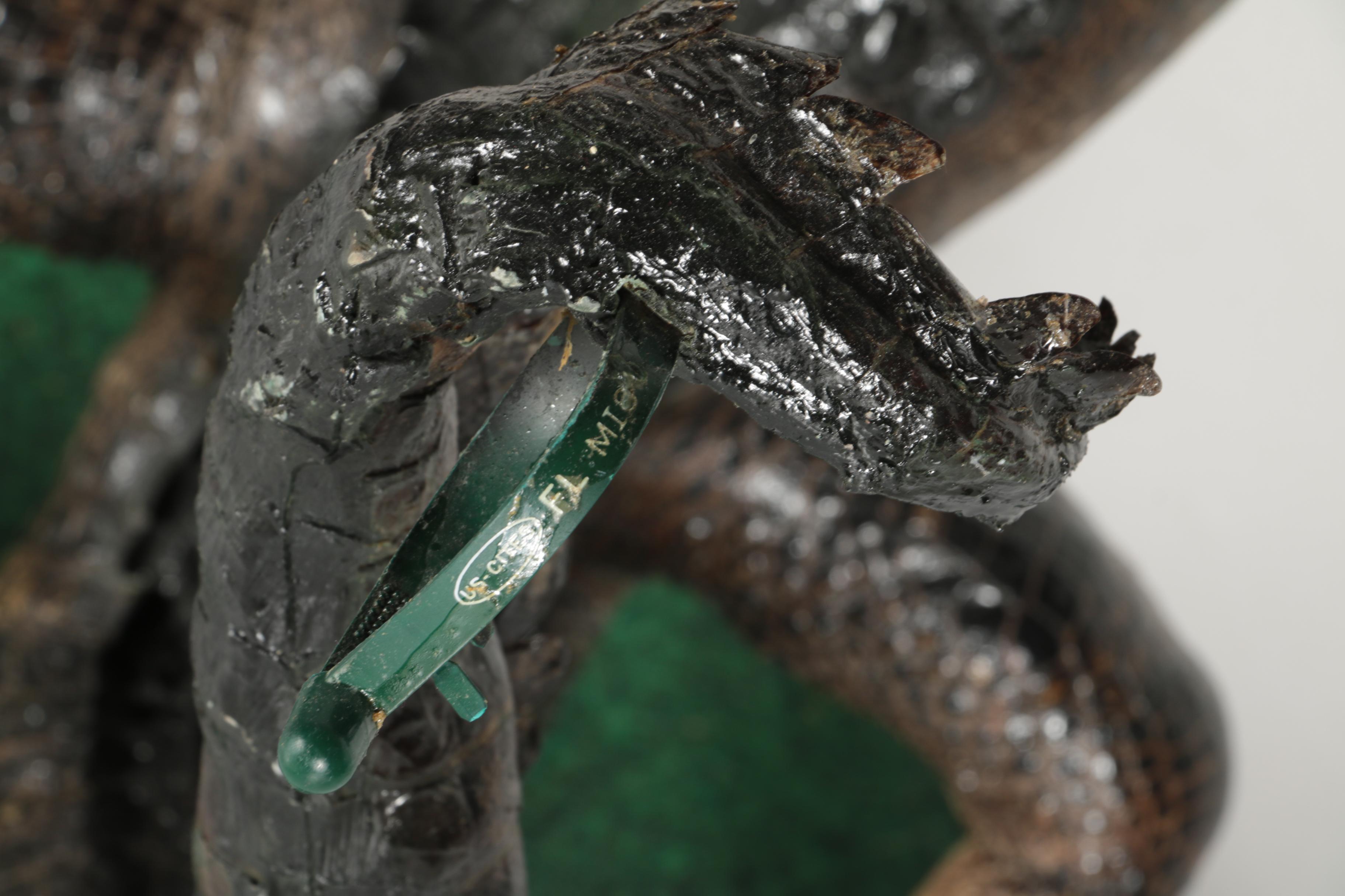 Taxidermy Alligator With Golf Club