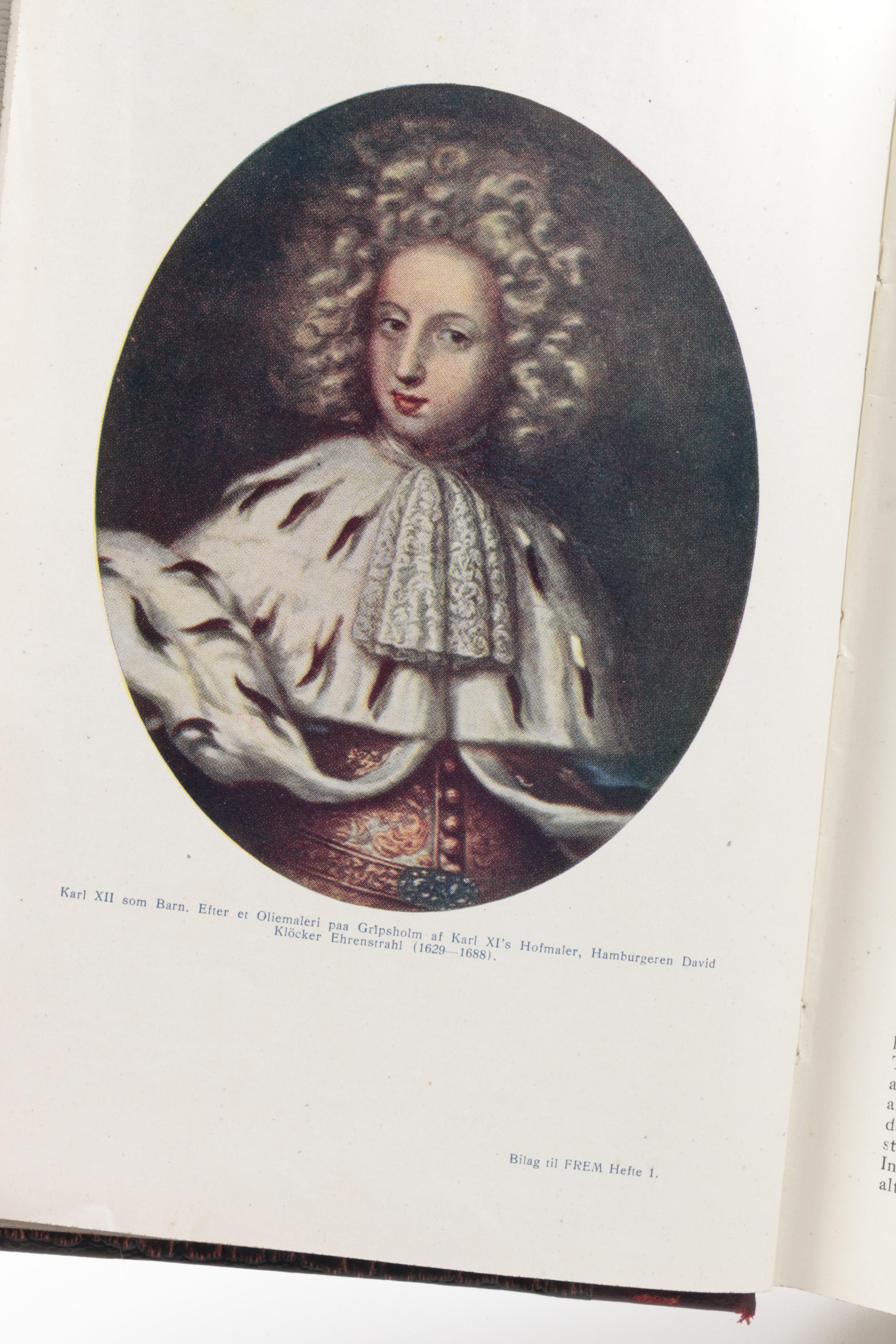 Collection of Vintage Danish Books