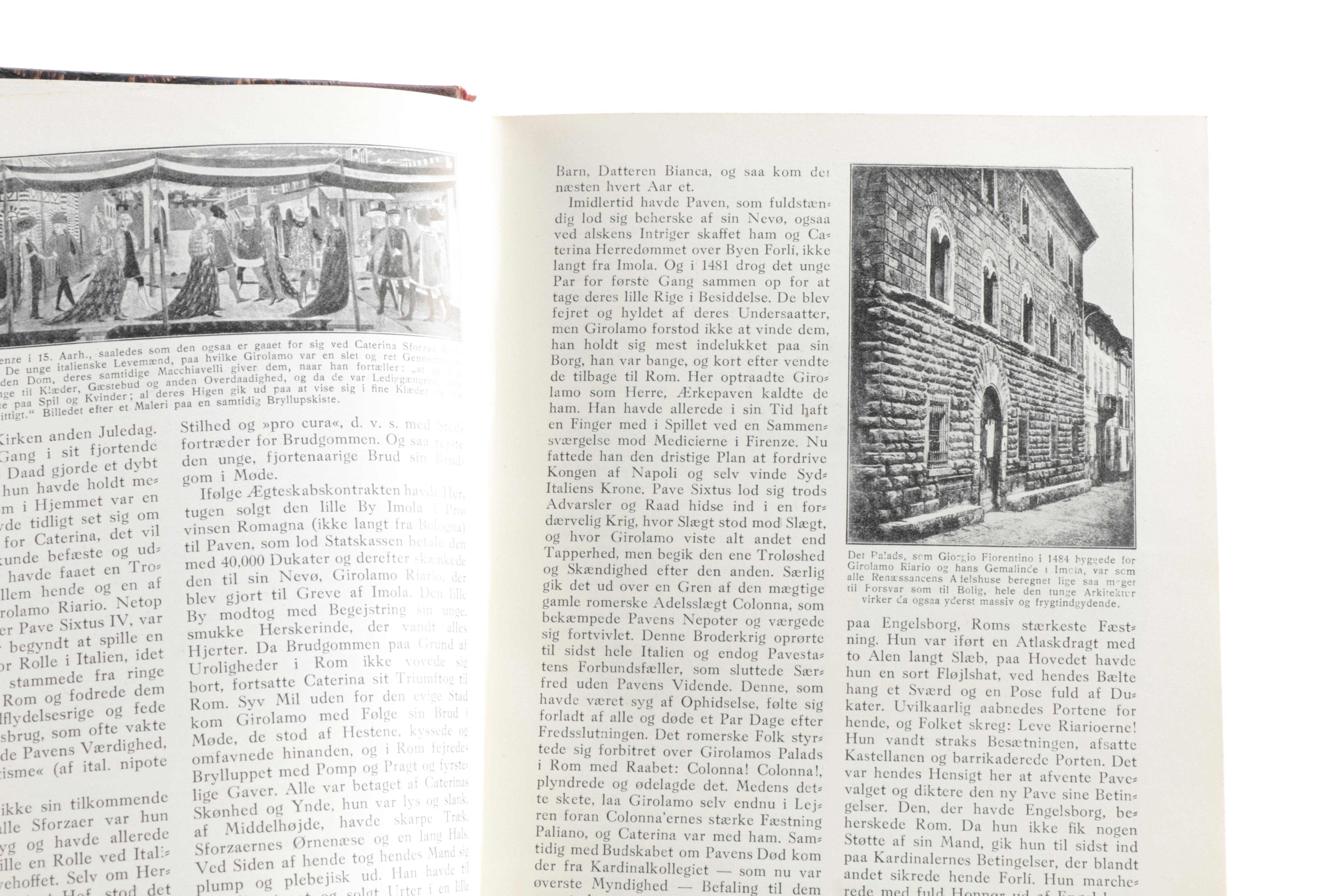 Collection of Vintage Danish Books