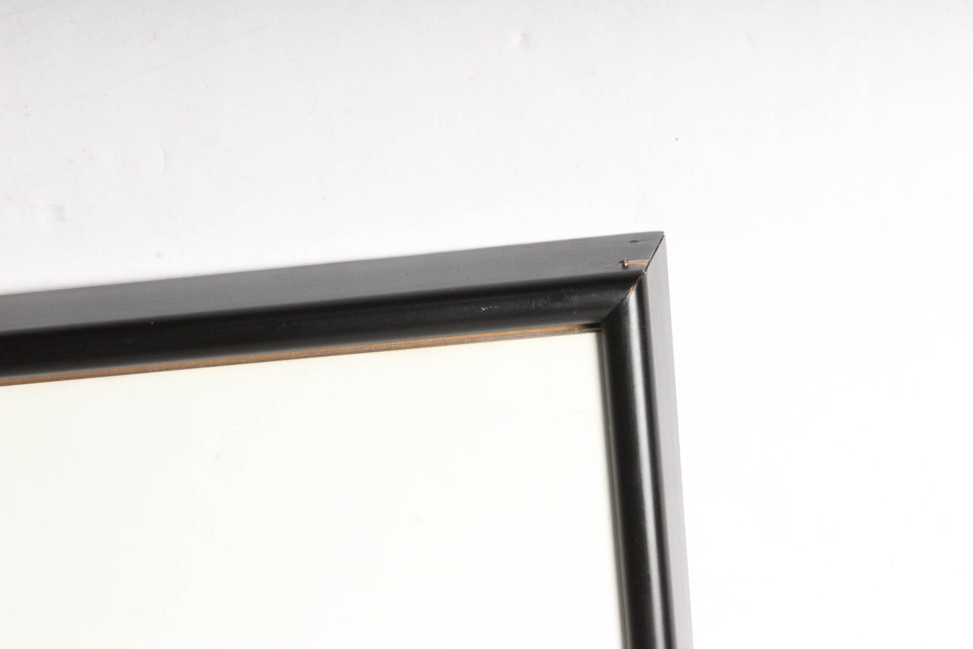 Limited Edition Etching "The Island of Nudes"