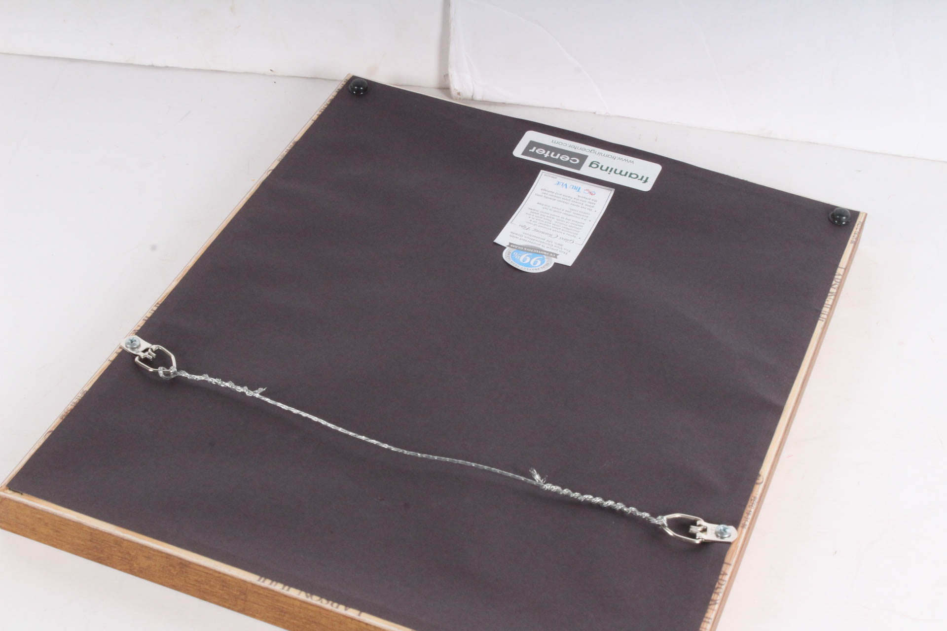 Hand Tinted Etching of "Morning Glories"