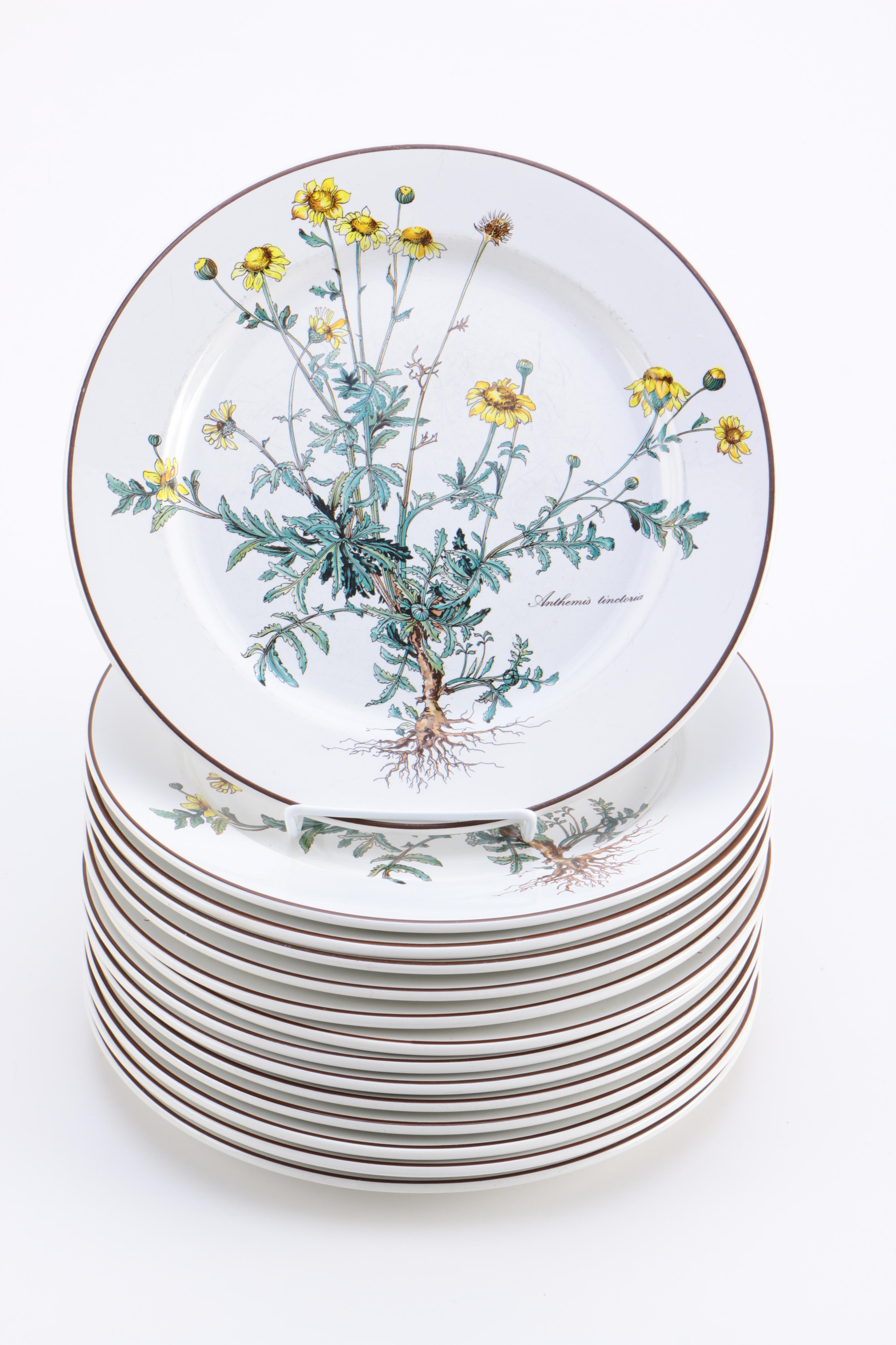 Villeroy & Boch "Botanica" Dinnerware