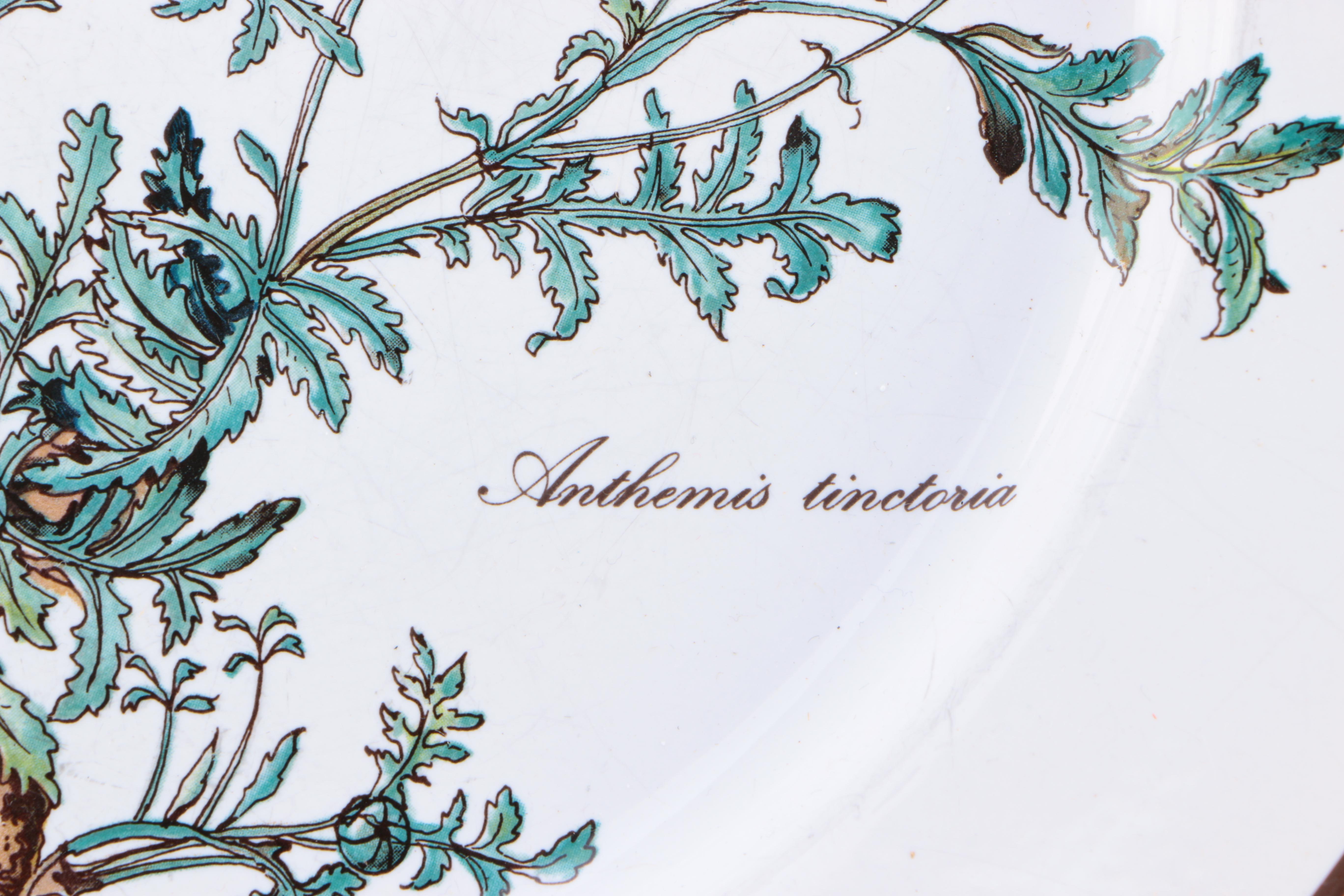 Villeroy & Boch "Botanica" Dinnerware