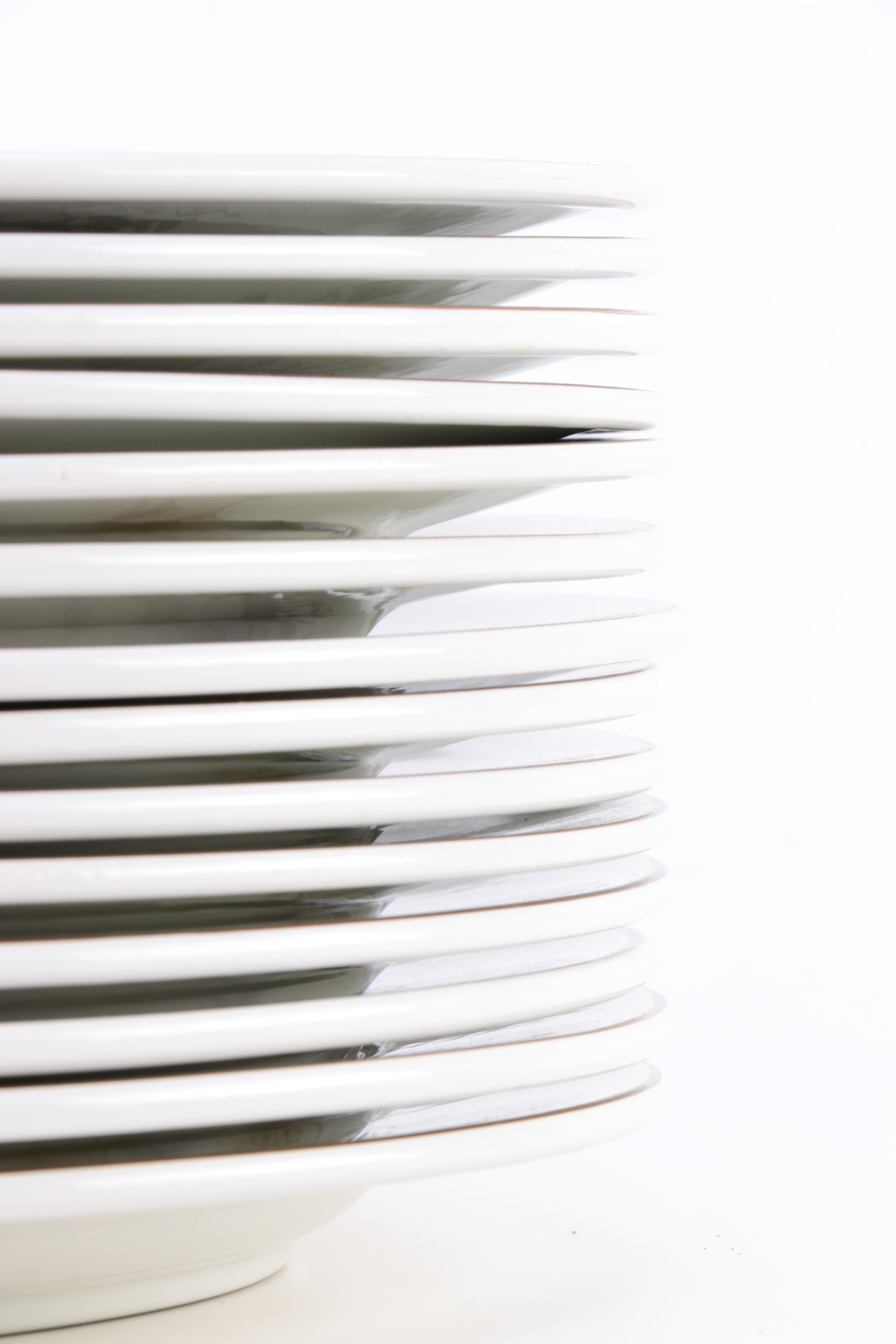 Villeroy & Boch "Botanica" Dinnerware