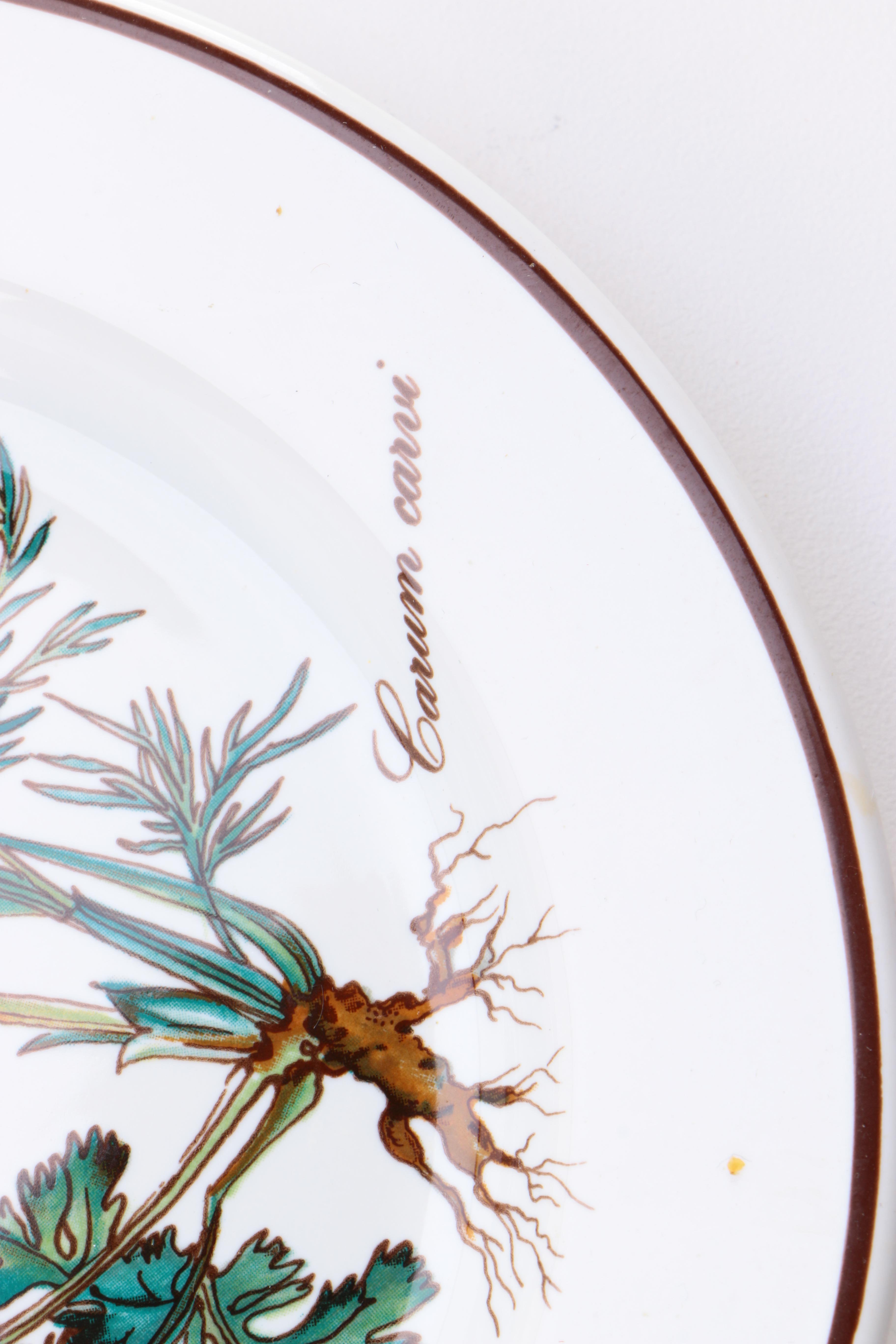 Villeroy & Boch "Botanica" Dinnerware