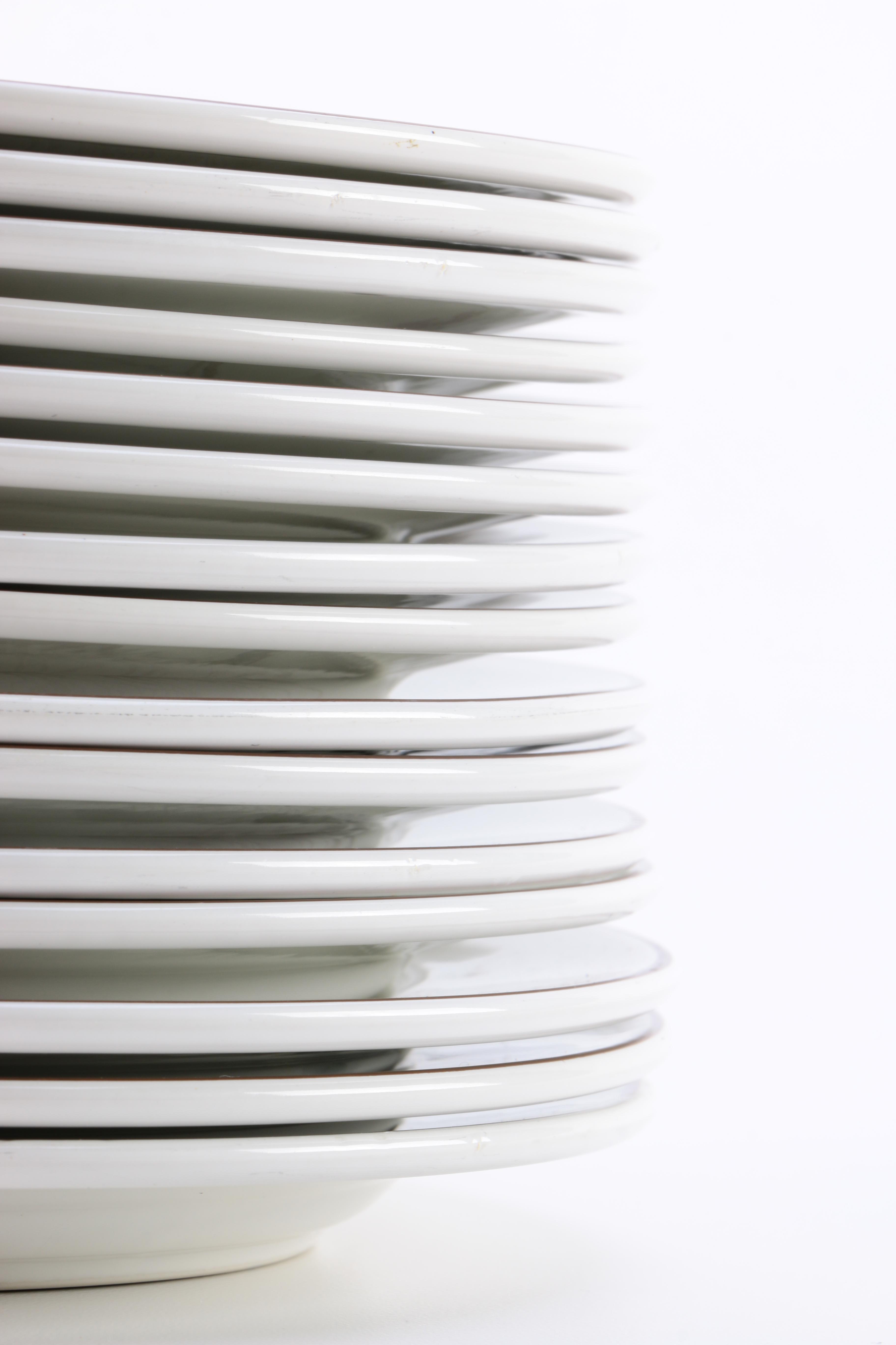 Villeroy & Boch "Botanica" Dinnerware