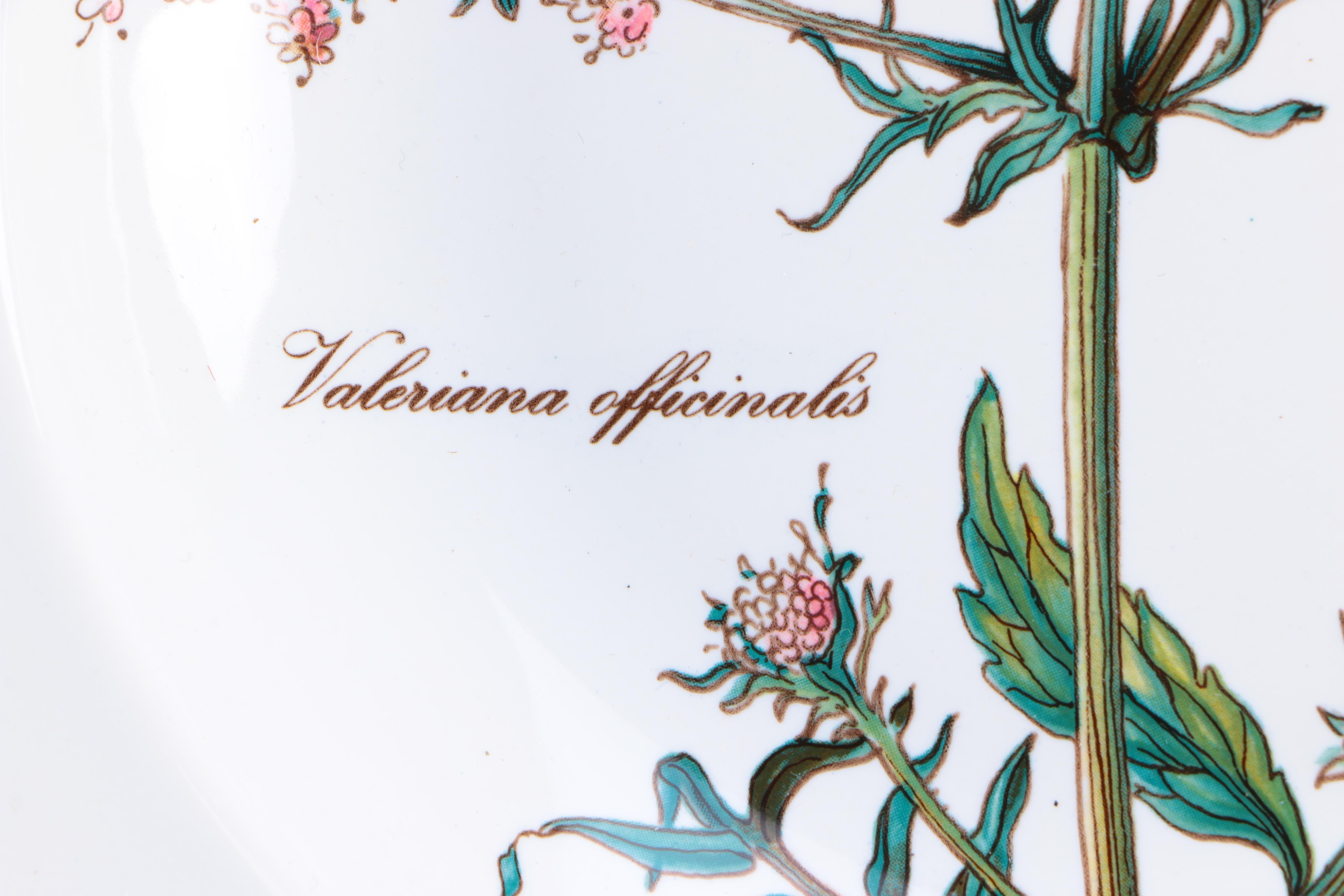Villeroy & Boch "Botanica" Dinnerware