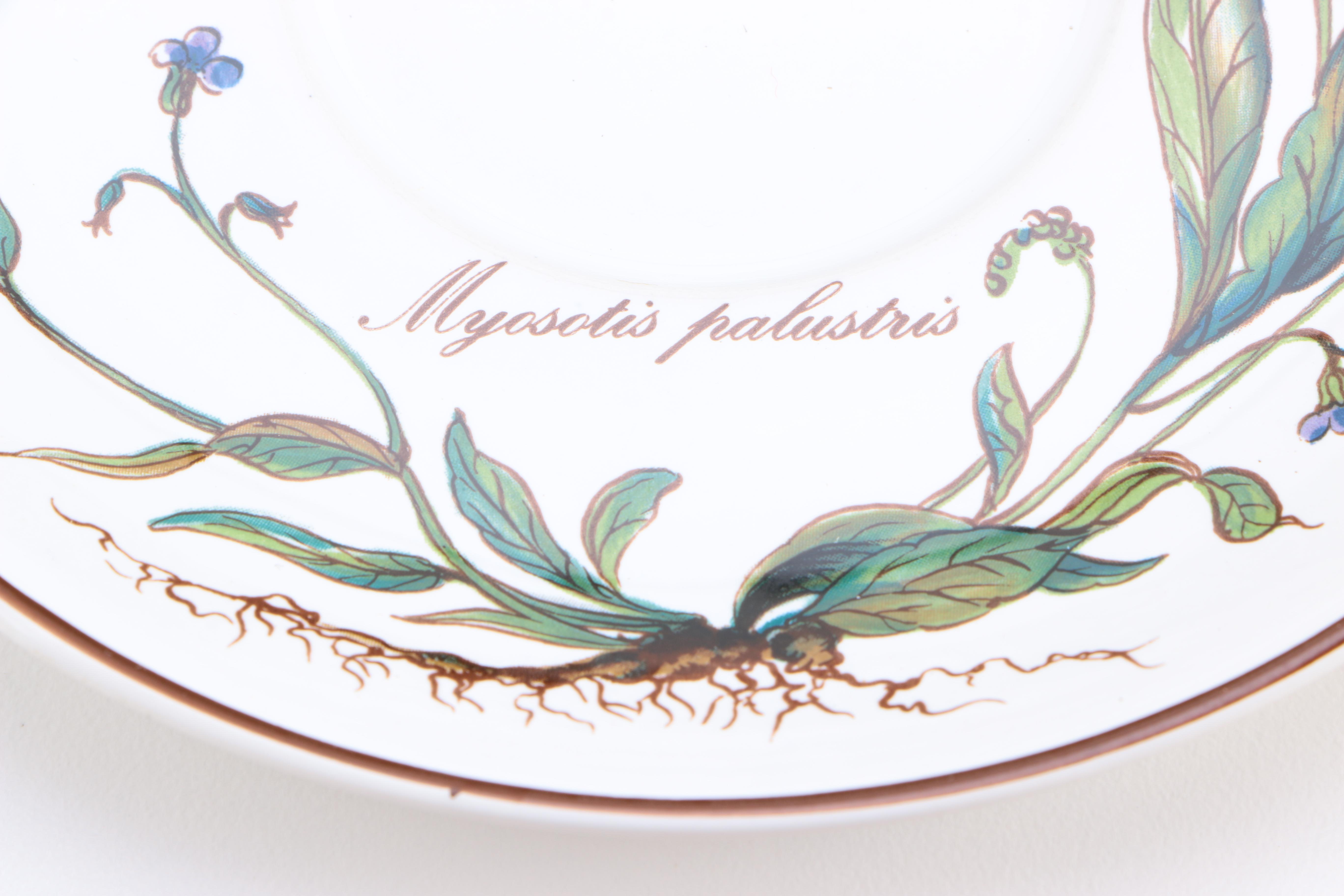 Villeroy & Boch "Botanica" Dinnerware
