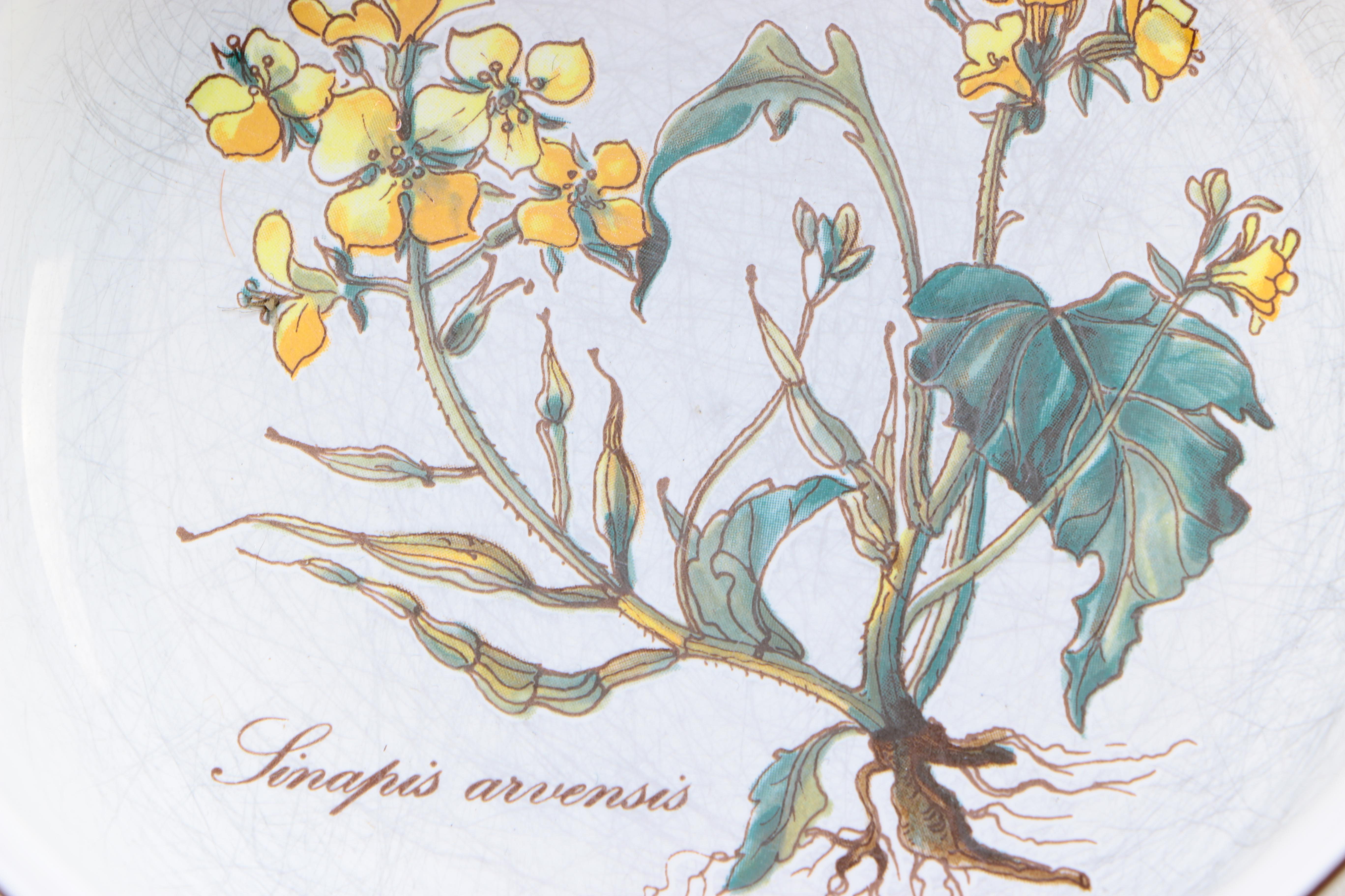 Villeroy & Boch "Botanica" Dinnerware