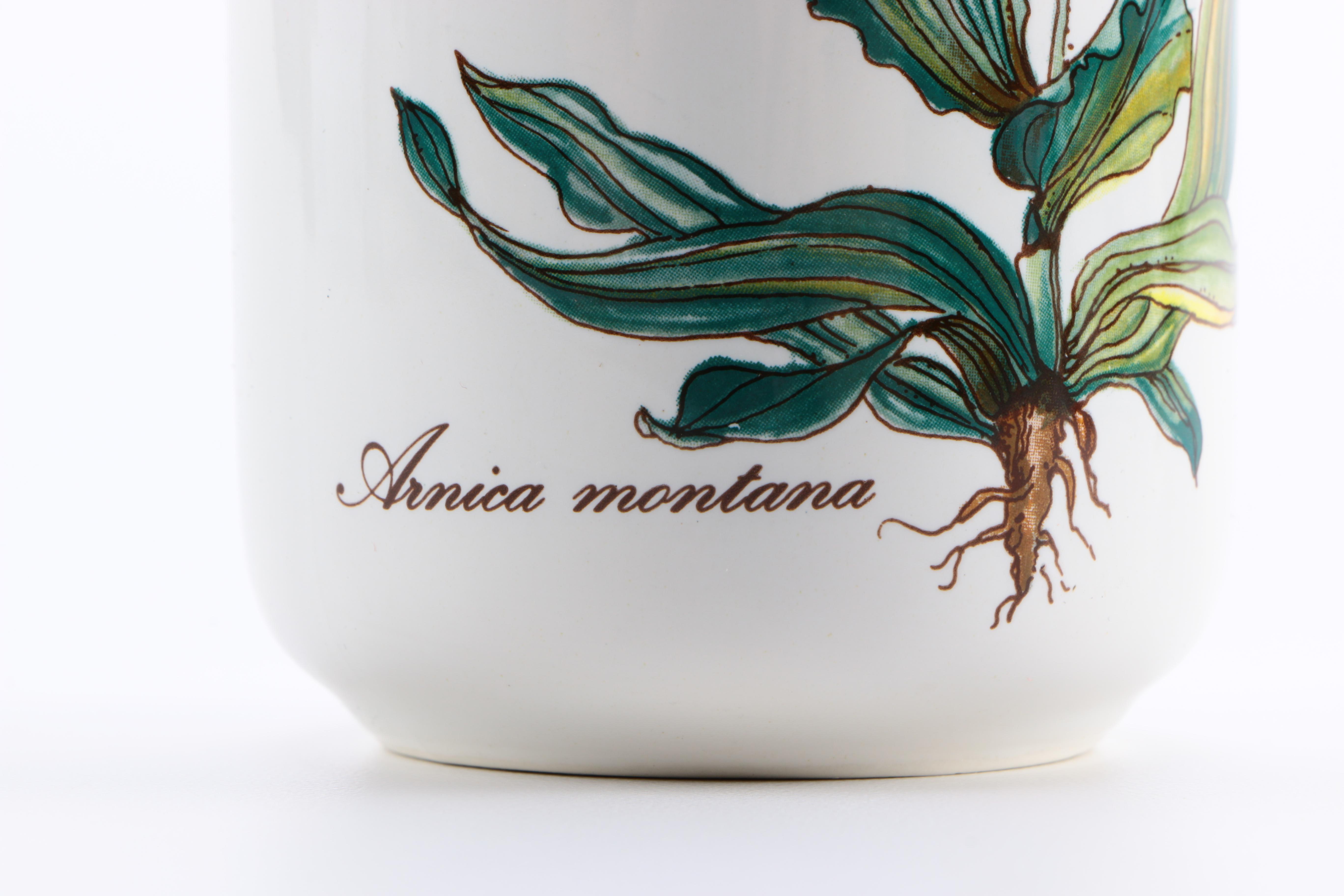 Villeroy & Boch "Botanica" Dinnerware