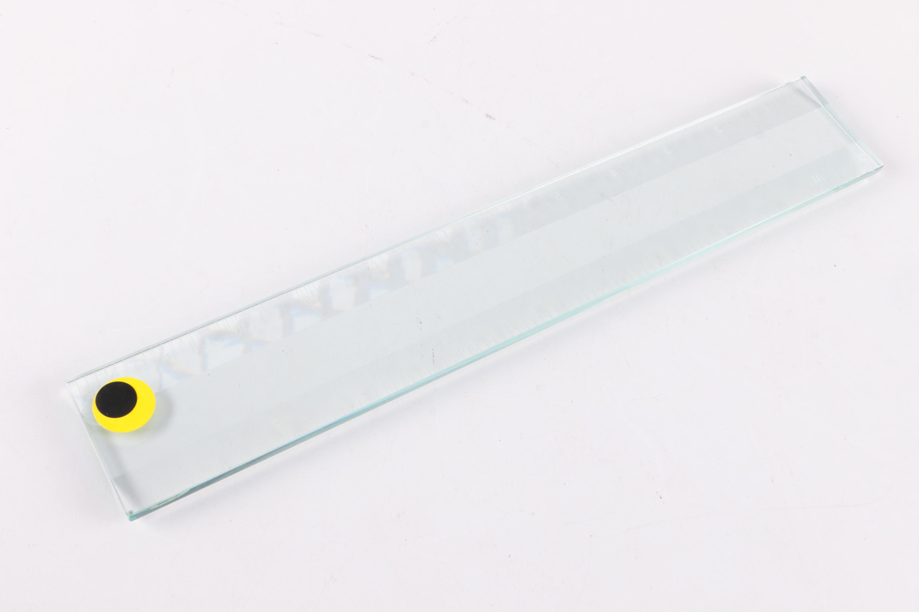 Six Tree St. Glass Office Decor