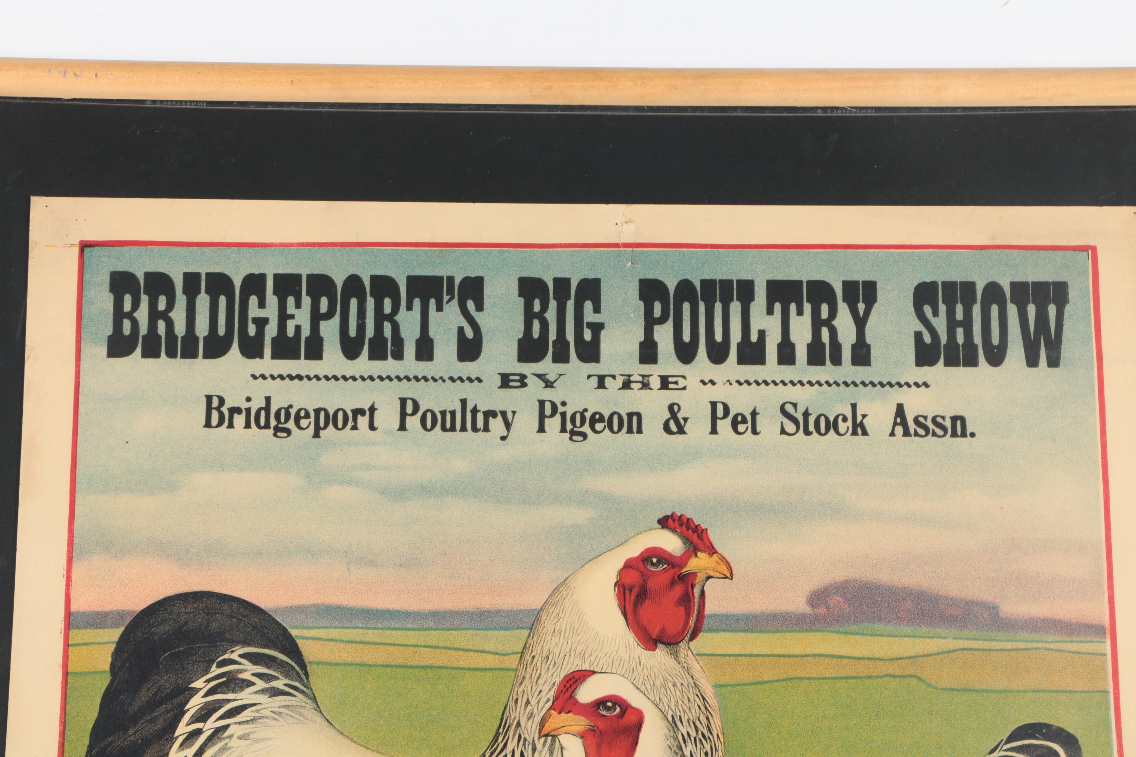 Vintage Chromolithograph Poster for Bridgeport's Big Poultry Show