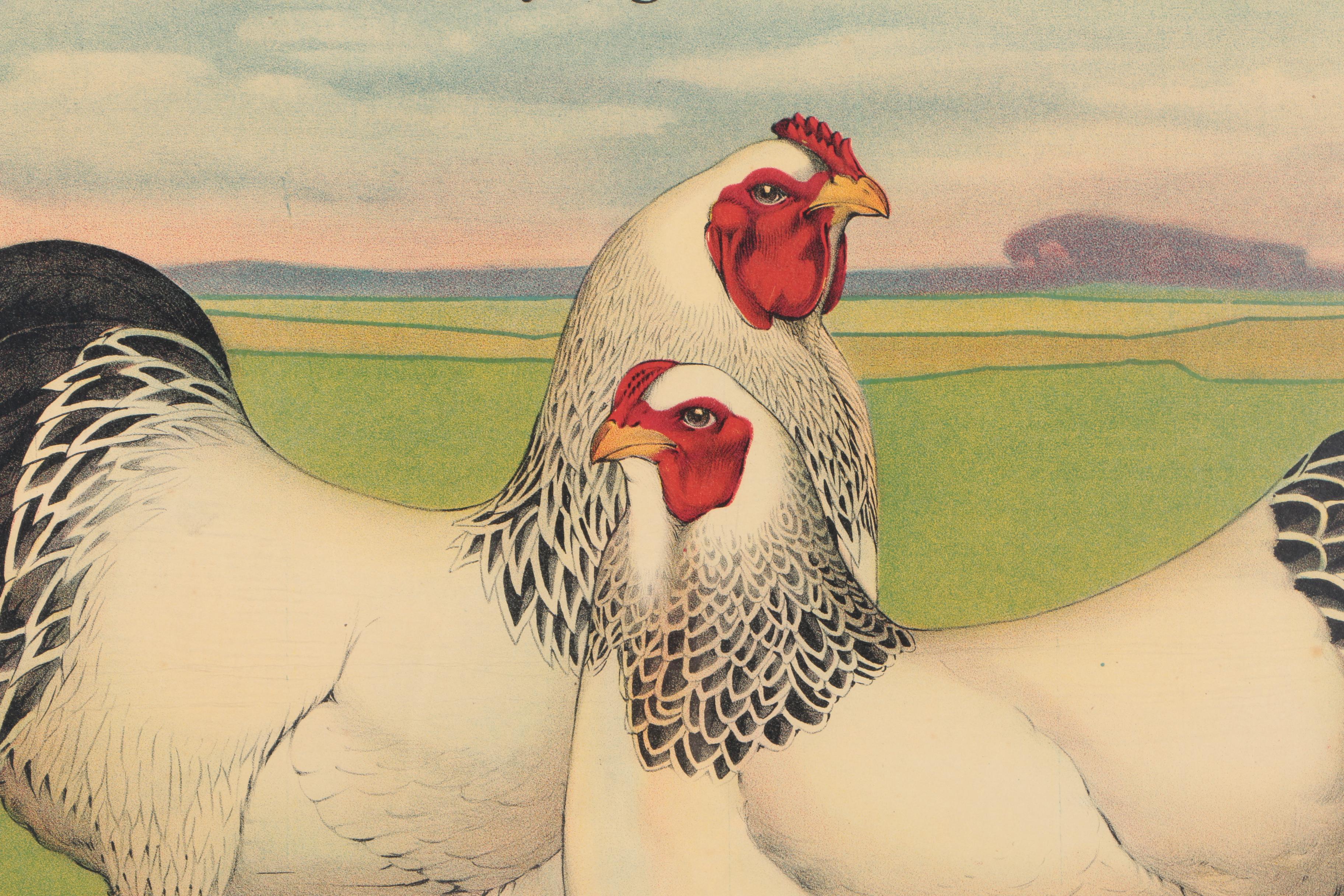 Vintage Chromolithograph Poster for Bridgeport's Big Poultry Show