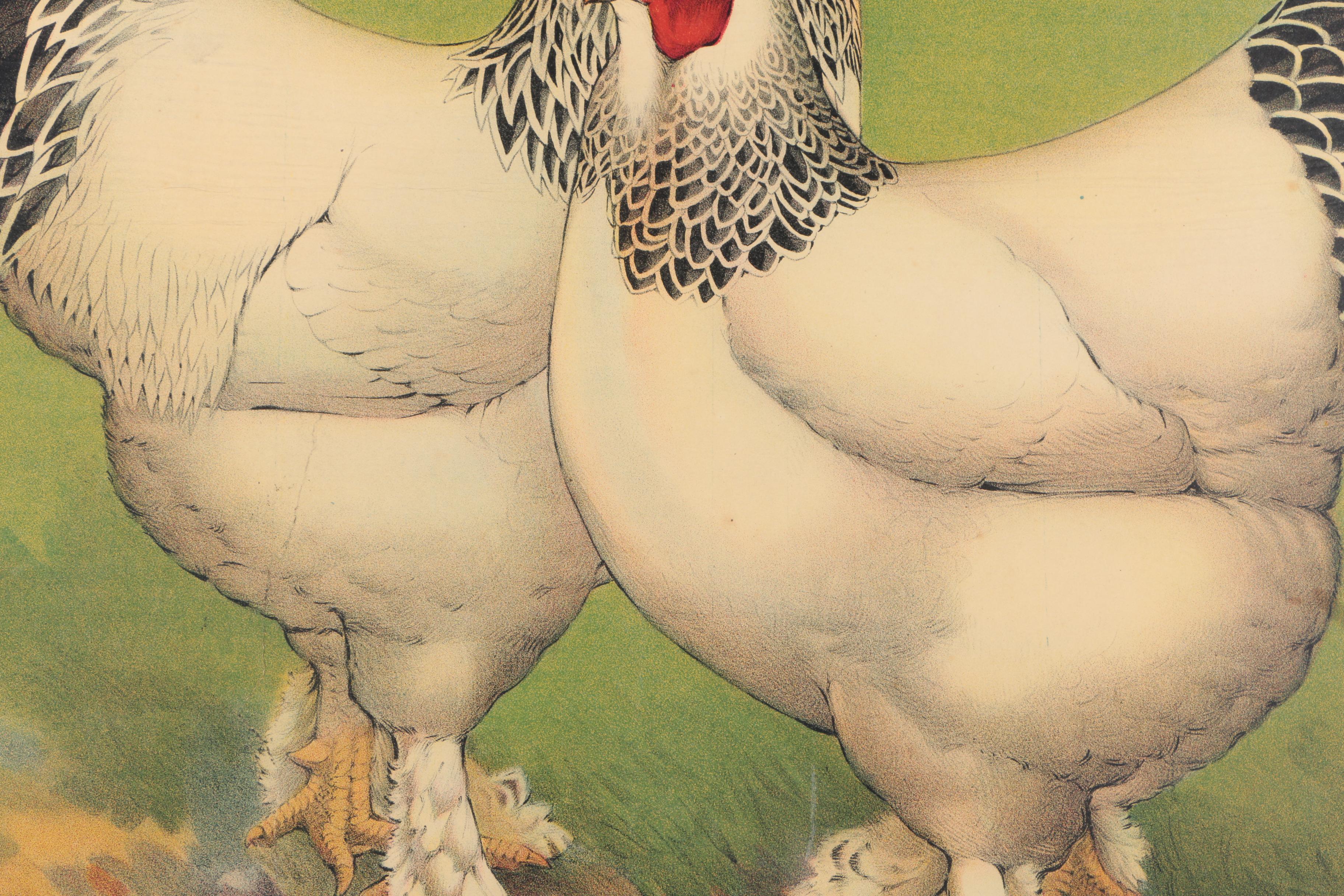 Vintage Chromolithograph Poster for Bridgeport's Big Poultry Show