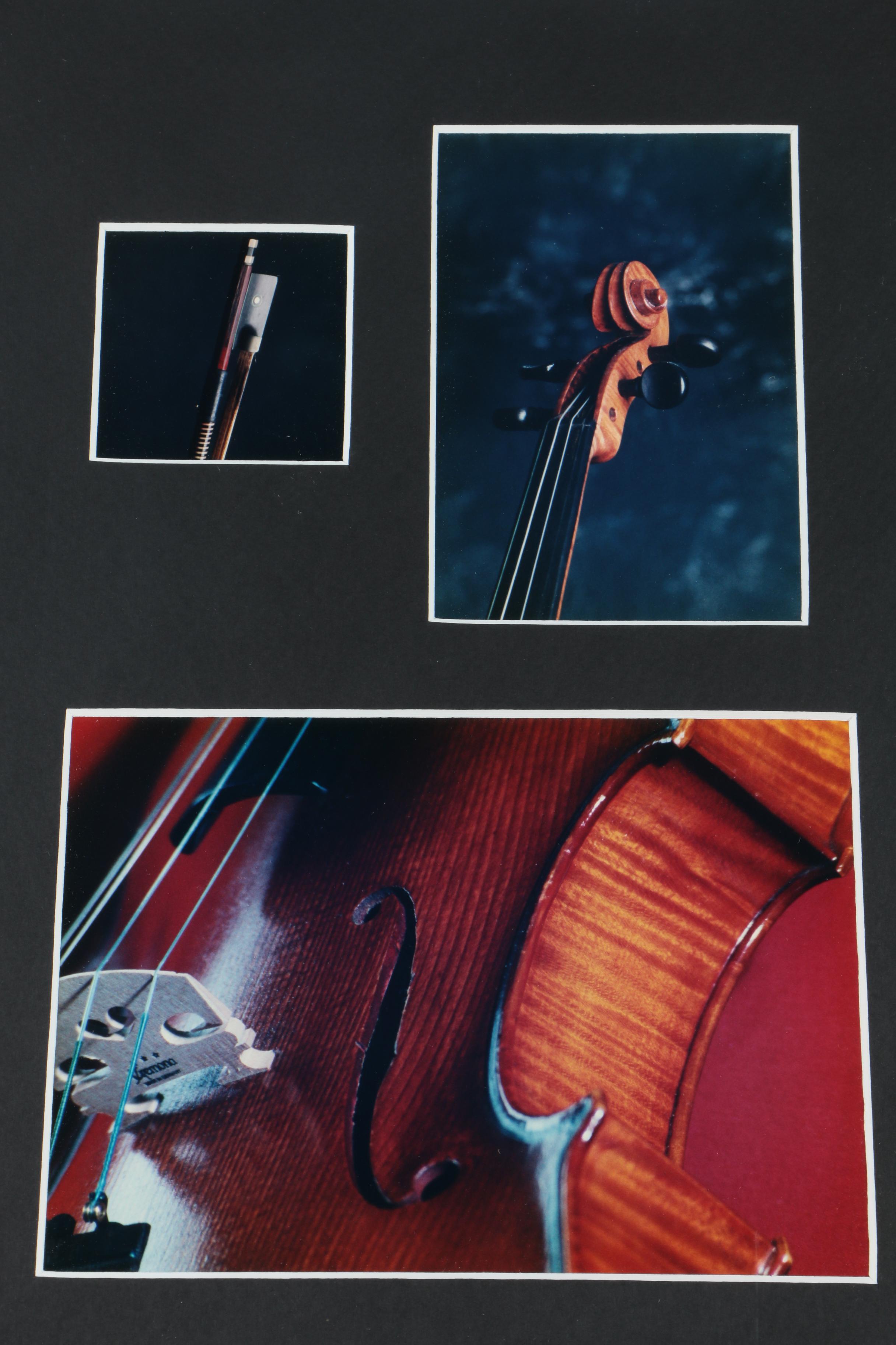 Color Photographs of a Violin