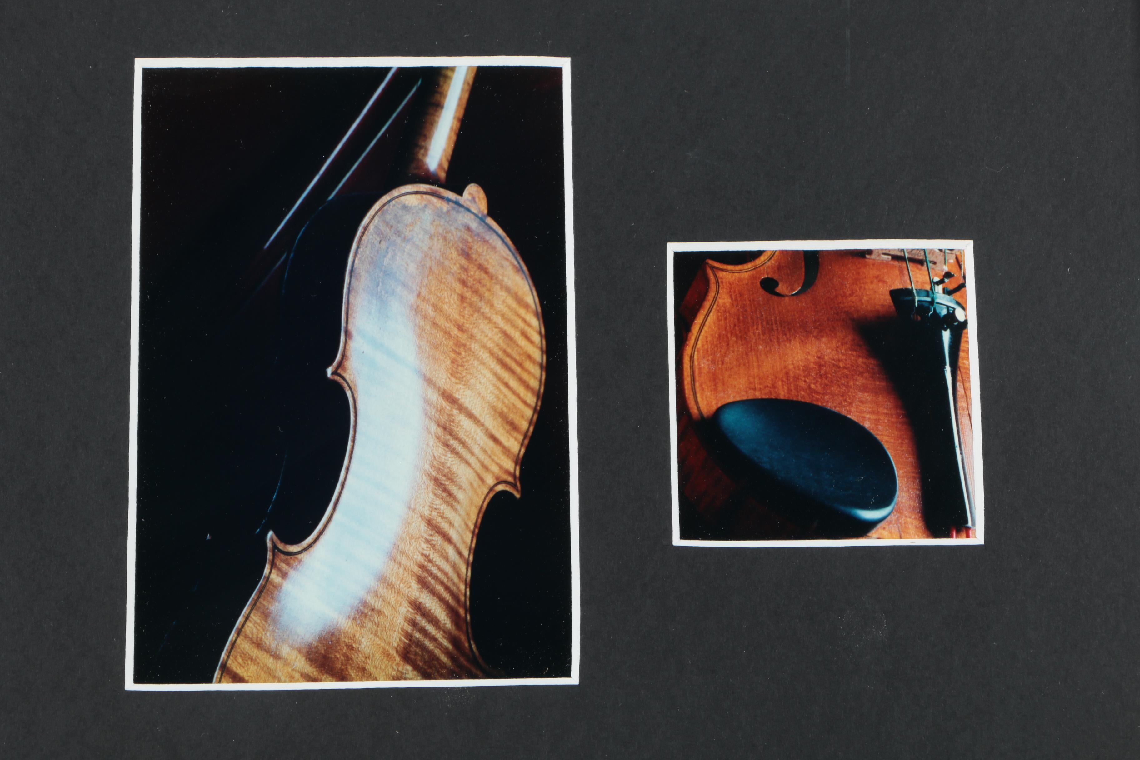 Color Photographs of a Violin