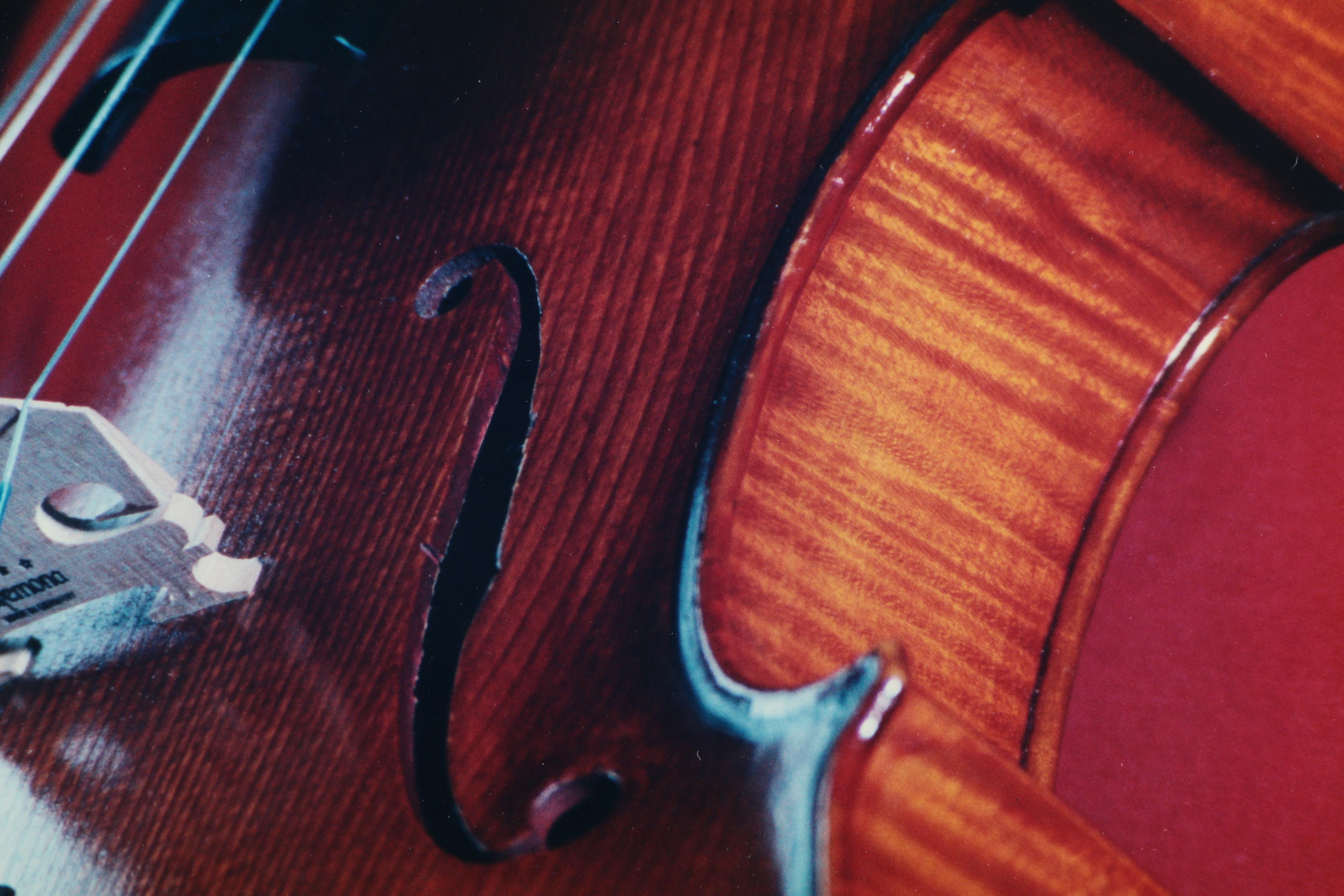 Color Photographs of a Violin