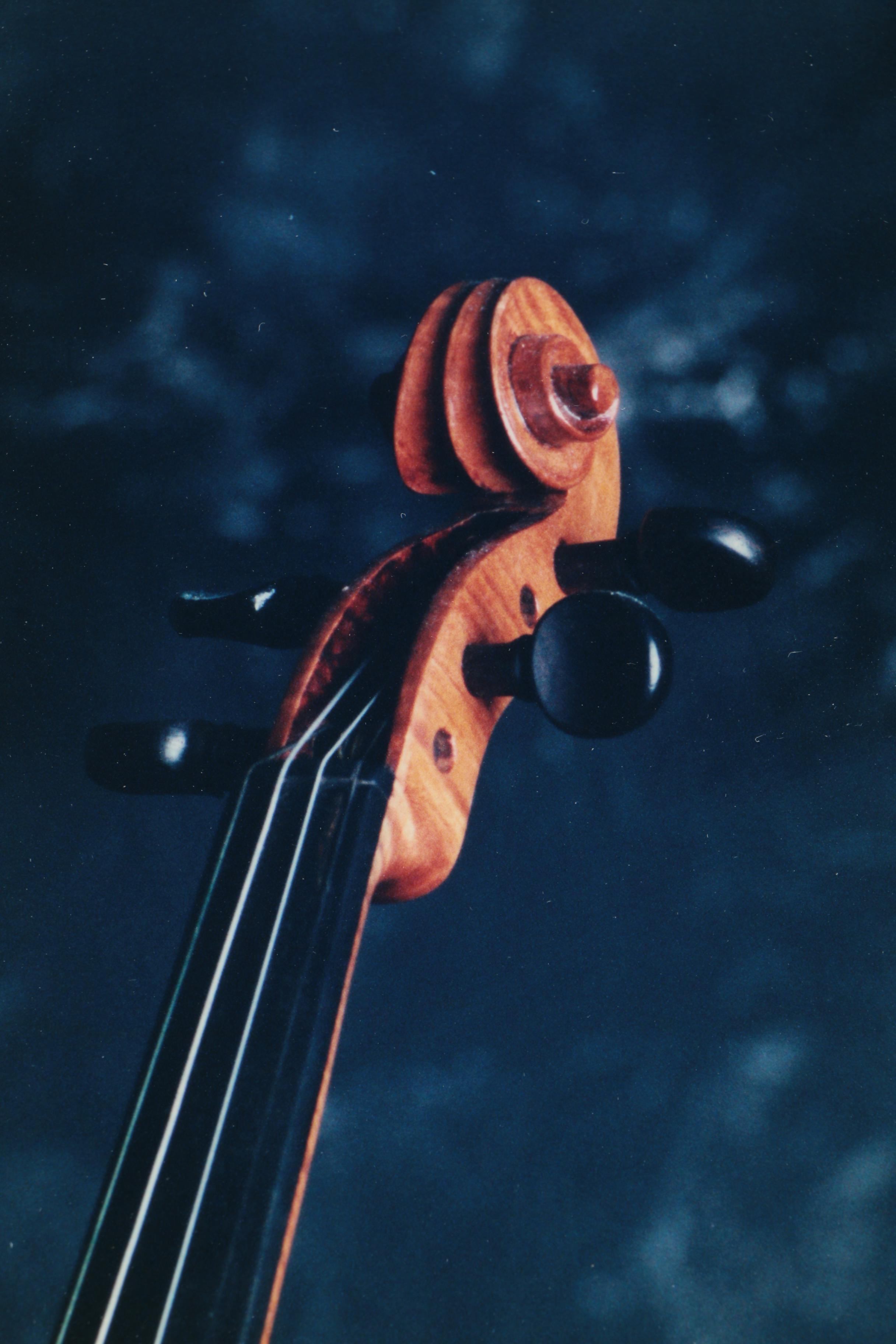 Color Photographs of a Violin