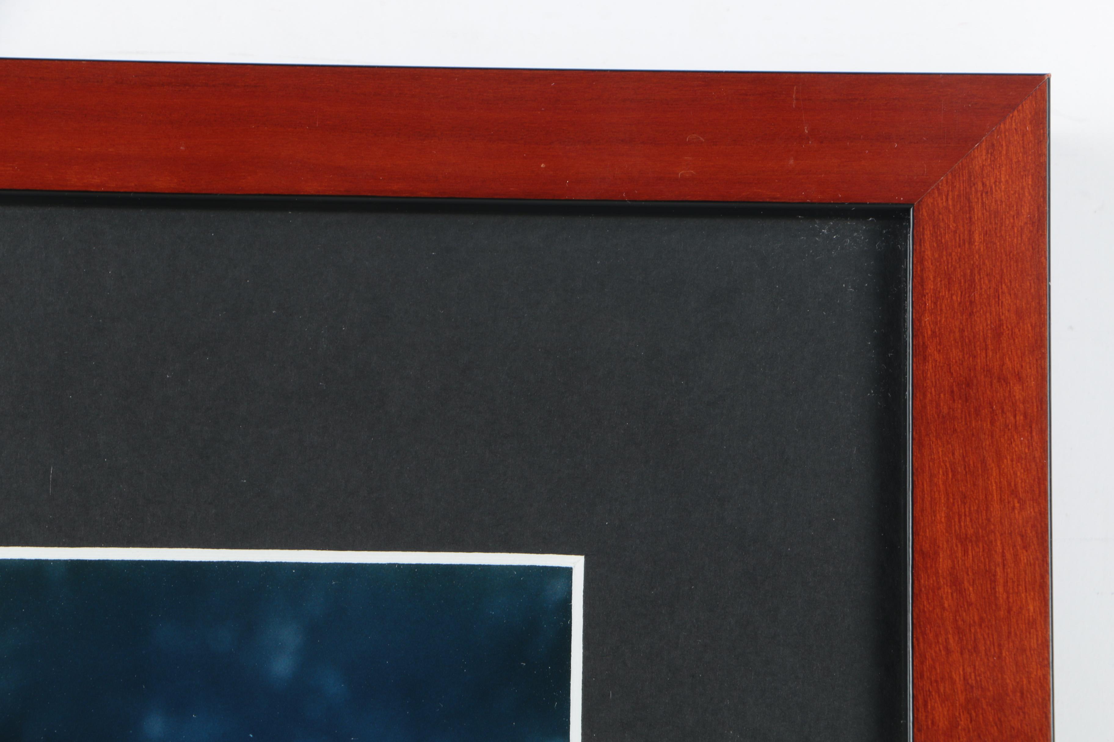 Color Photographs of a Violin