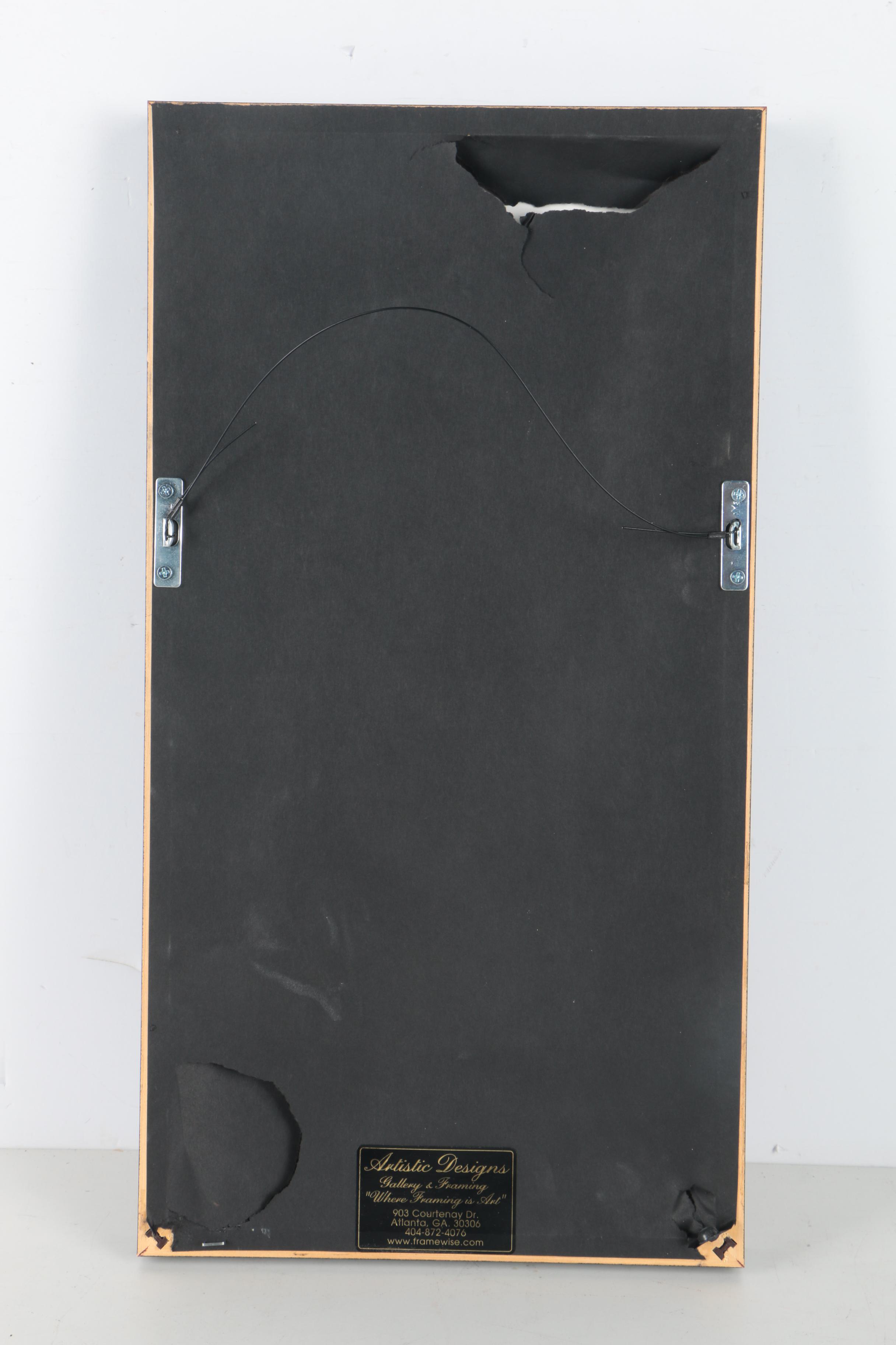 Color Photographs of a Violin