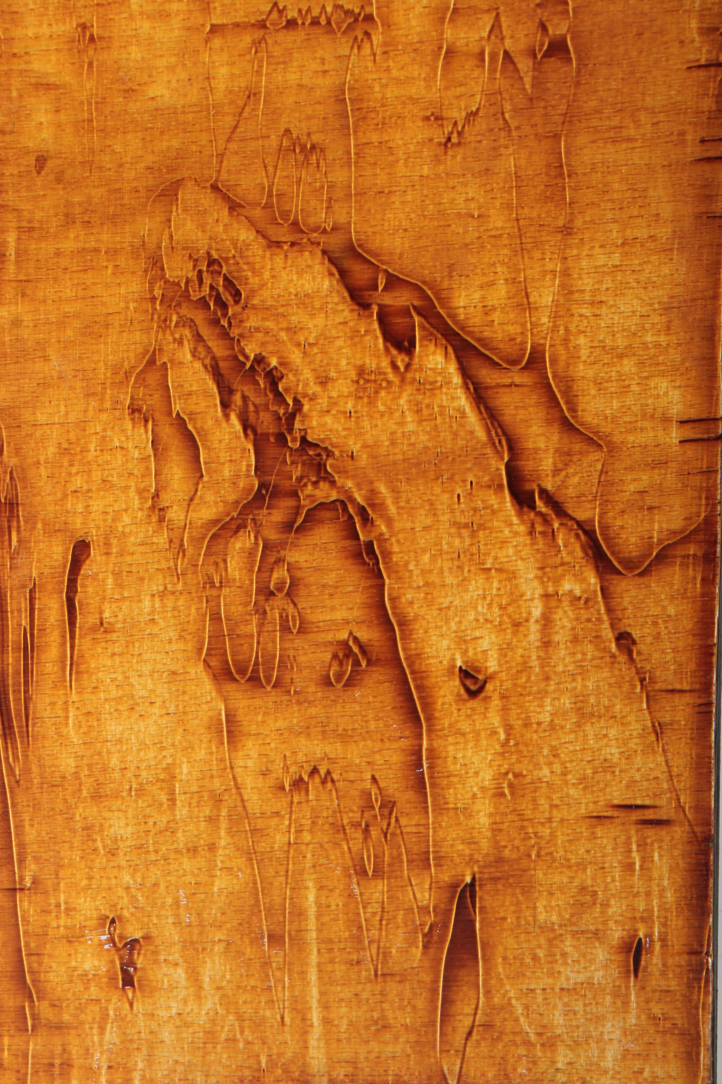 Richard A. Carlson Acrylic Painting on Wood Panel  "Wood Spirit"