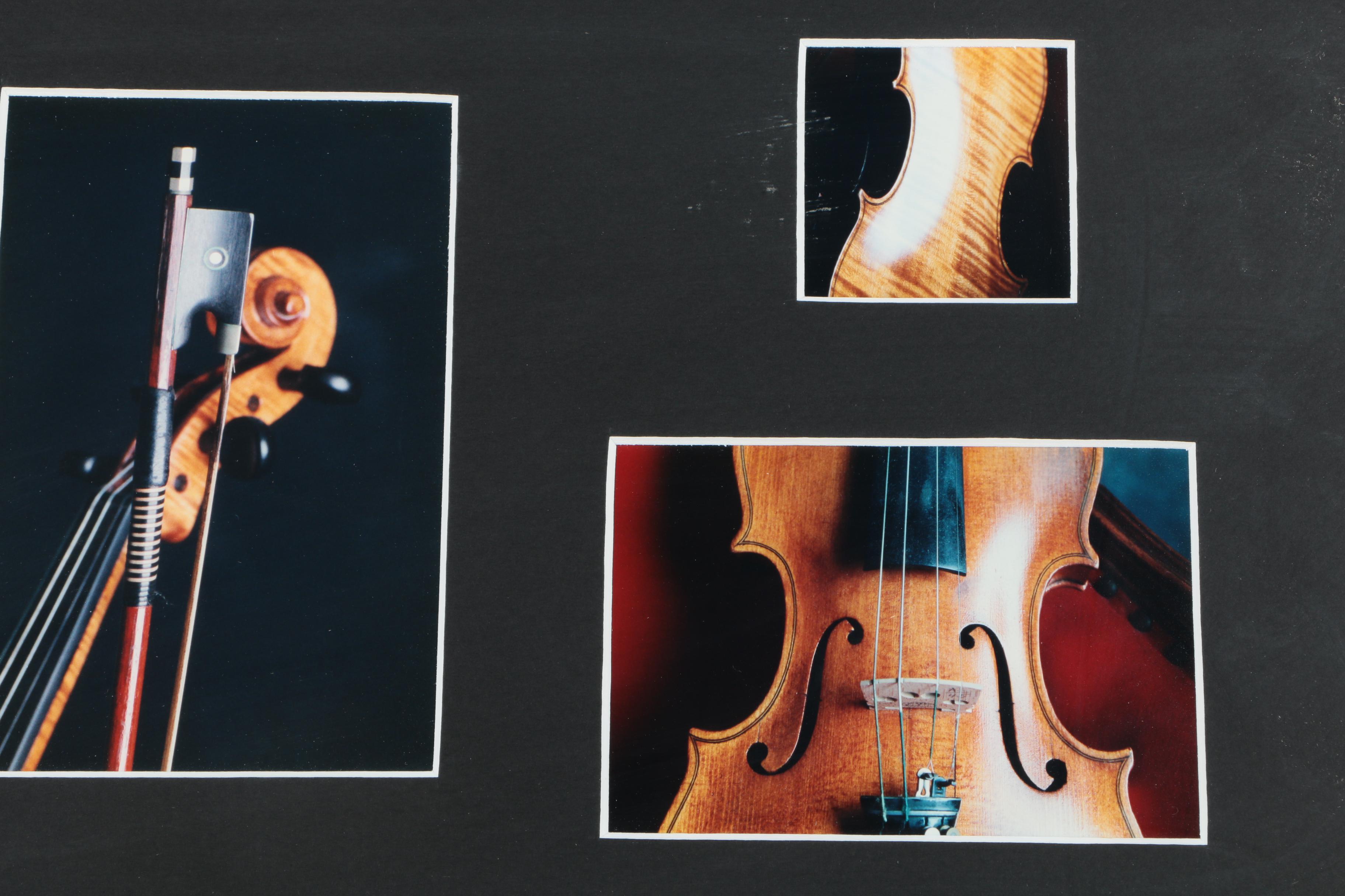 Color Photographs of a Violin