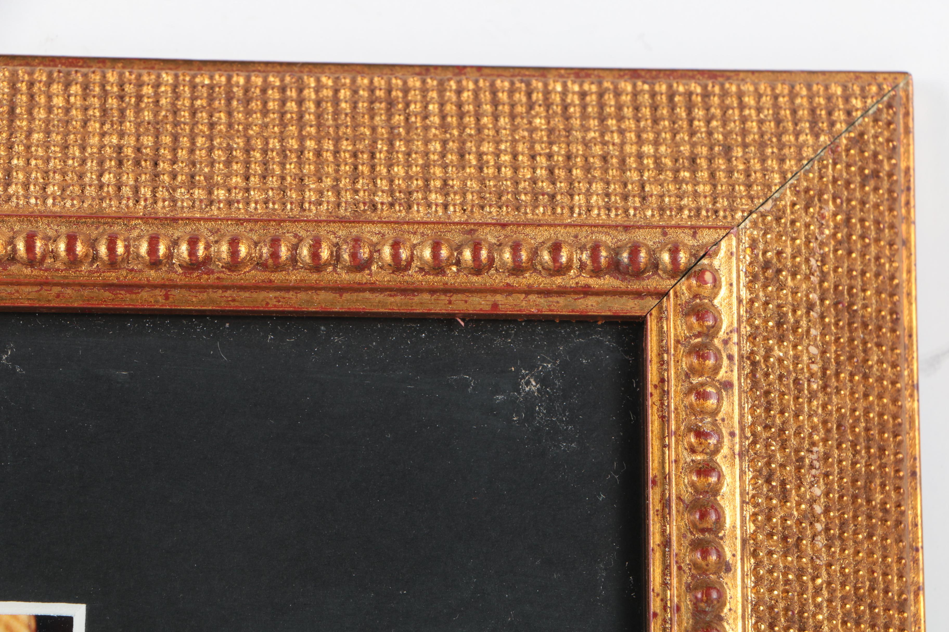 Color Photographs of a Violin