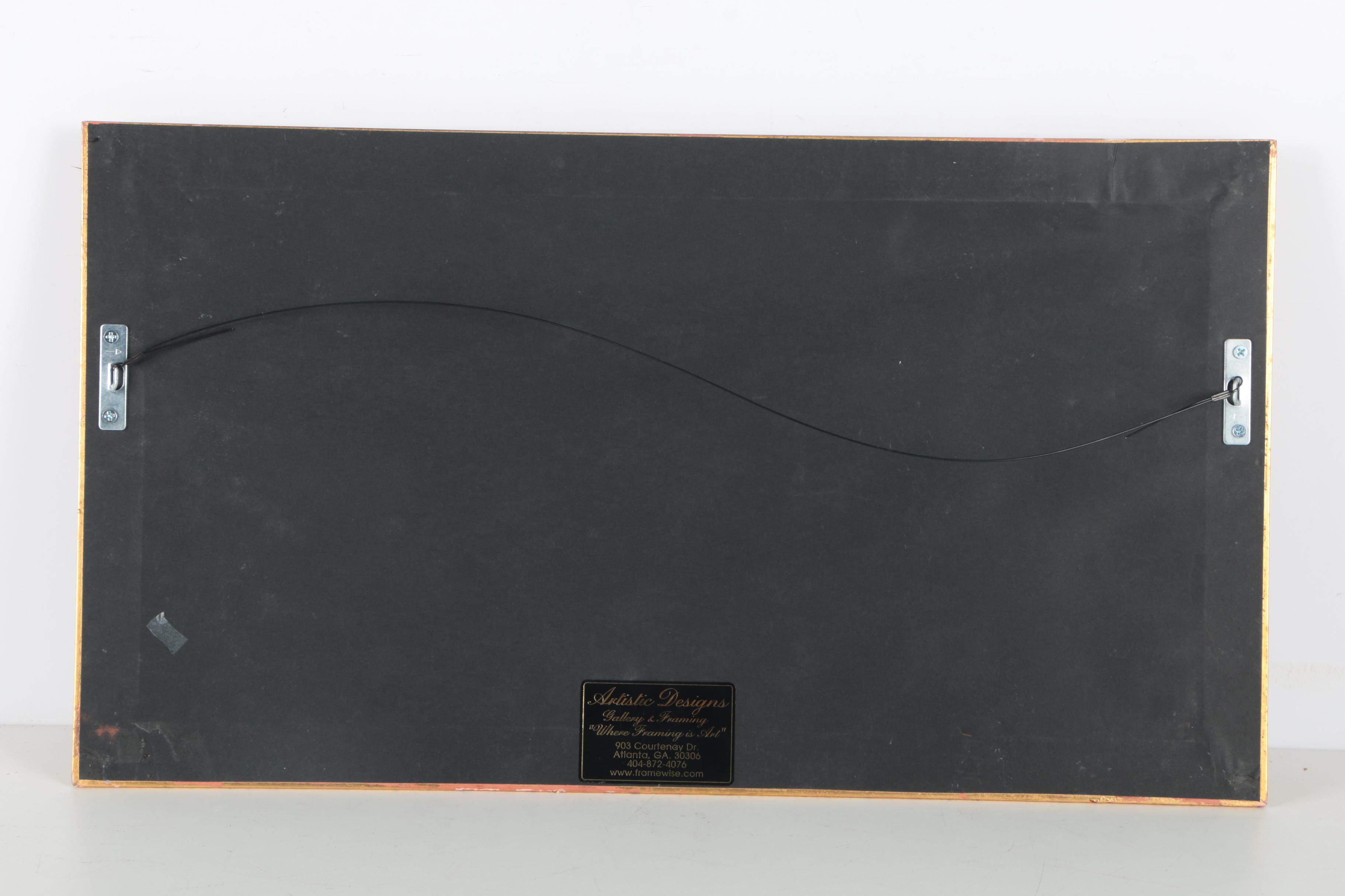 Color Photographs of a Violin