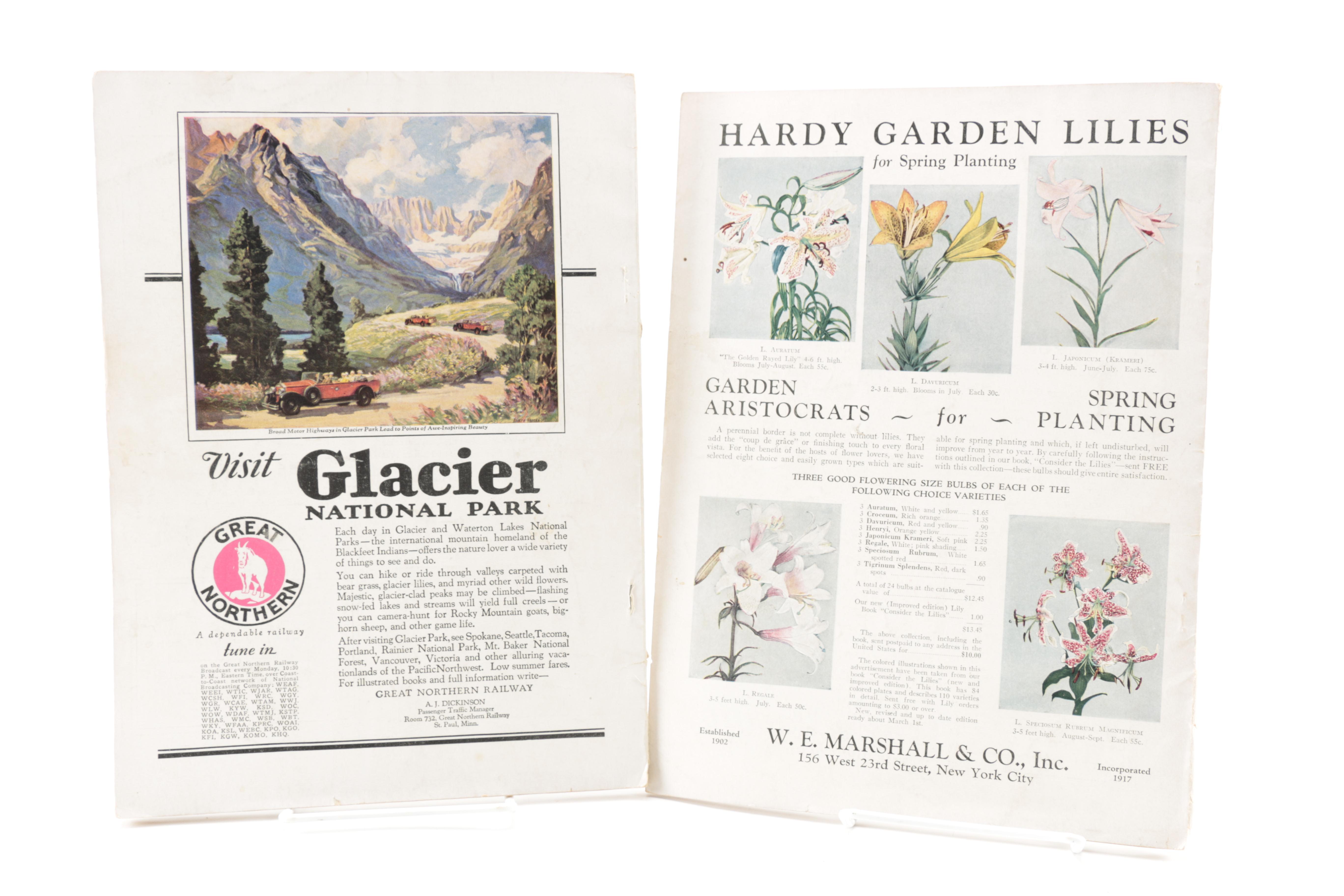 Fourteen Issues of "Nature Magazine"