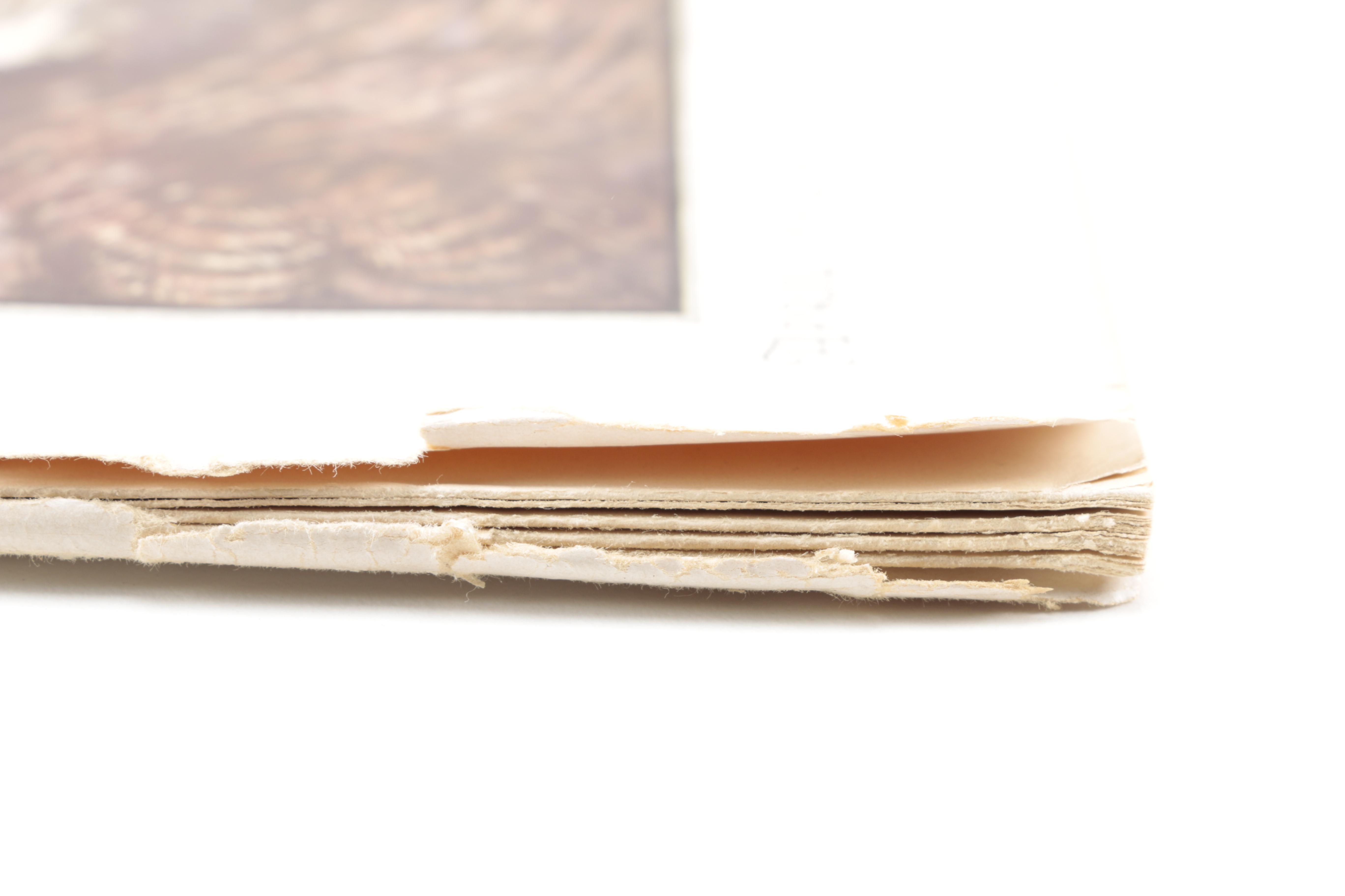 Fourteen Issues of "Nature Magazine"