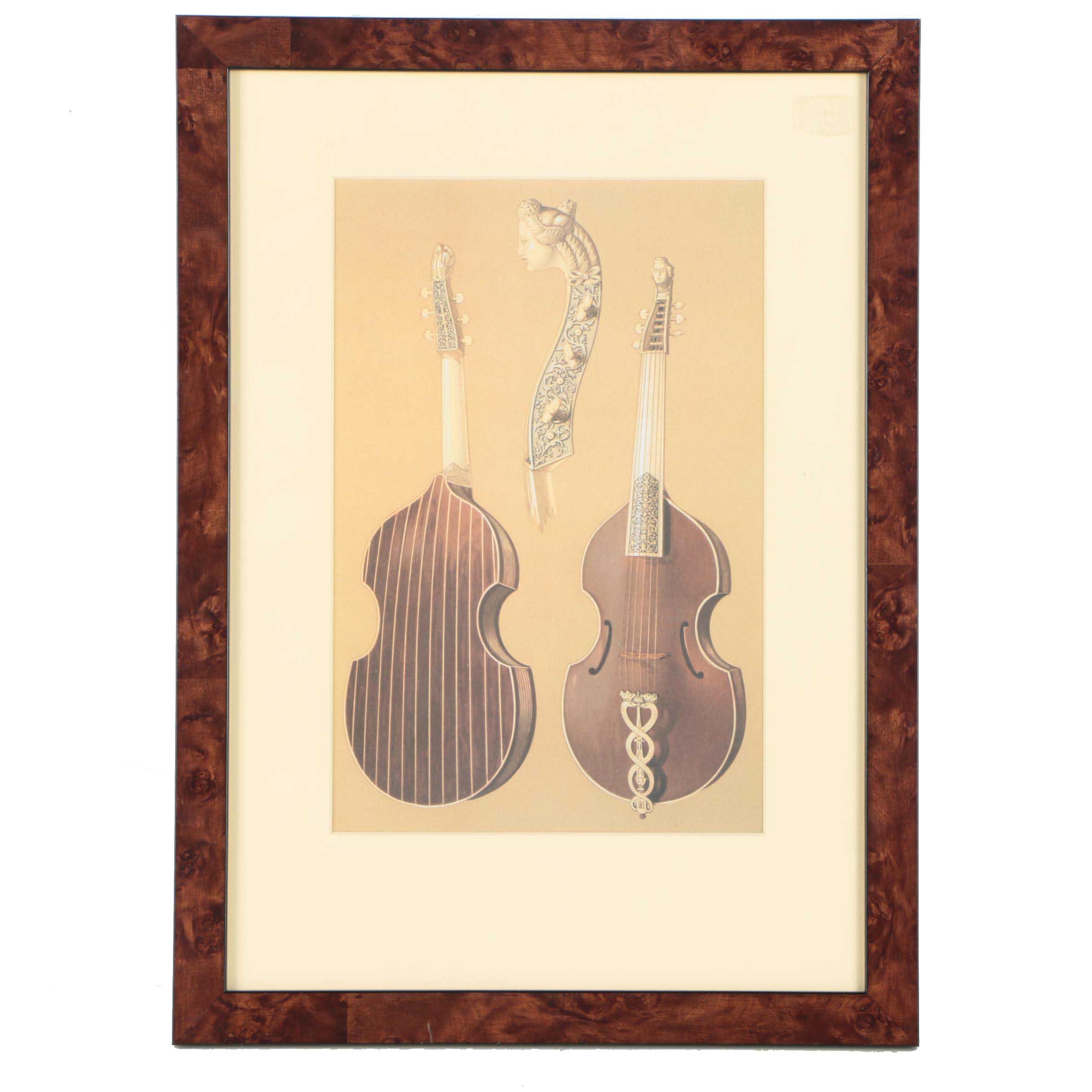 Offset Lithograph After William Gibb's Illustration of Tielke's "Caduceus" Viola da Gamba