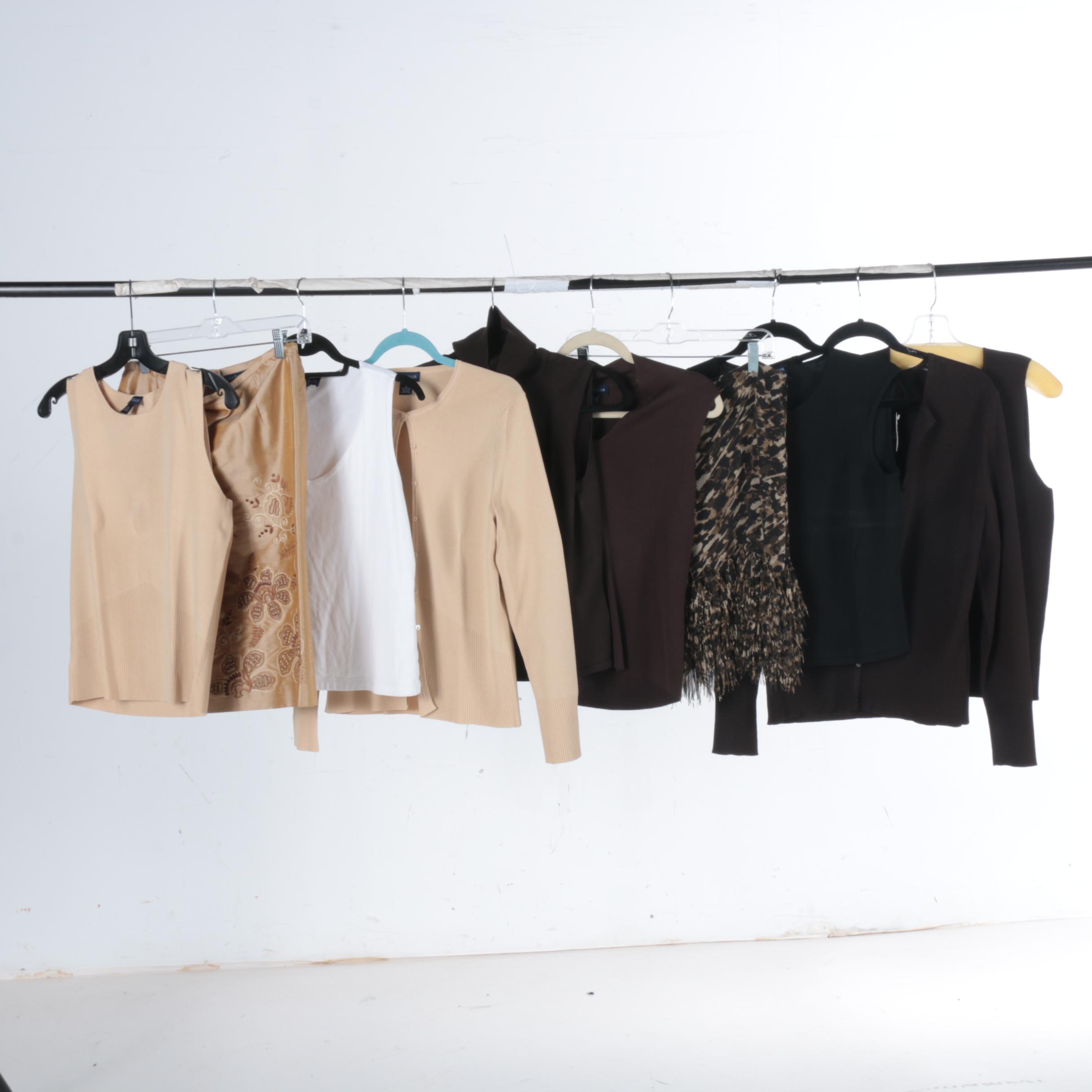 Ann Taylor Separates