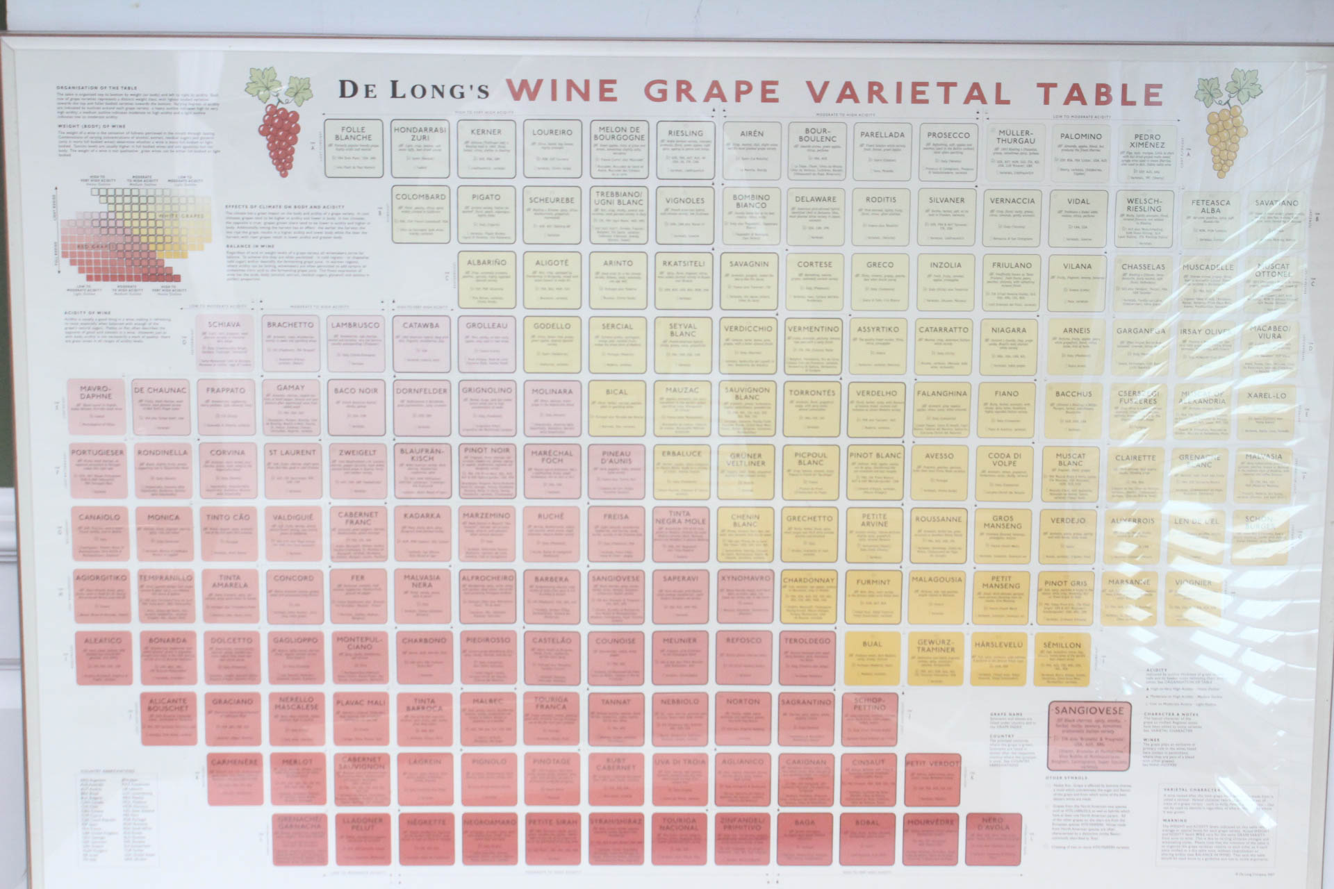 Wine Decor Collection