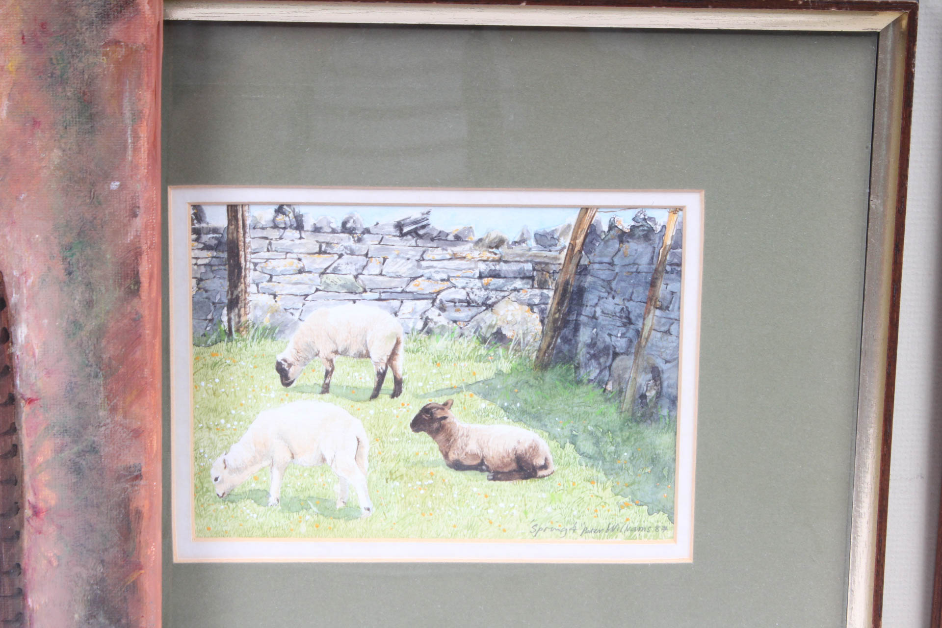 Collection of Paintings