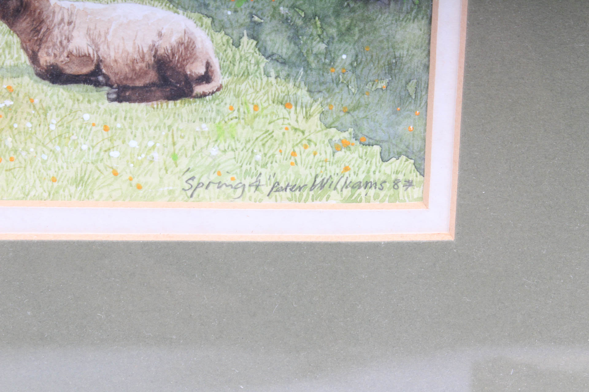 Collection of Paintings